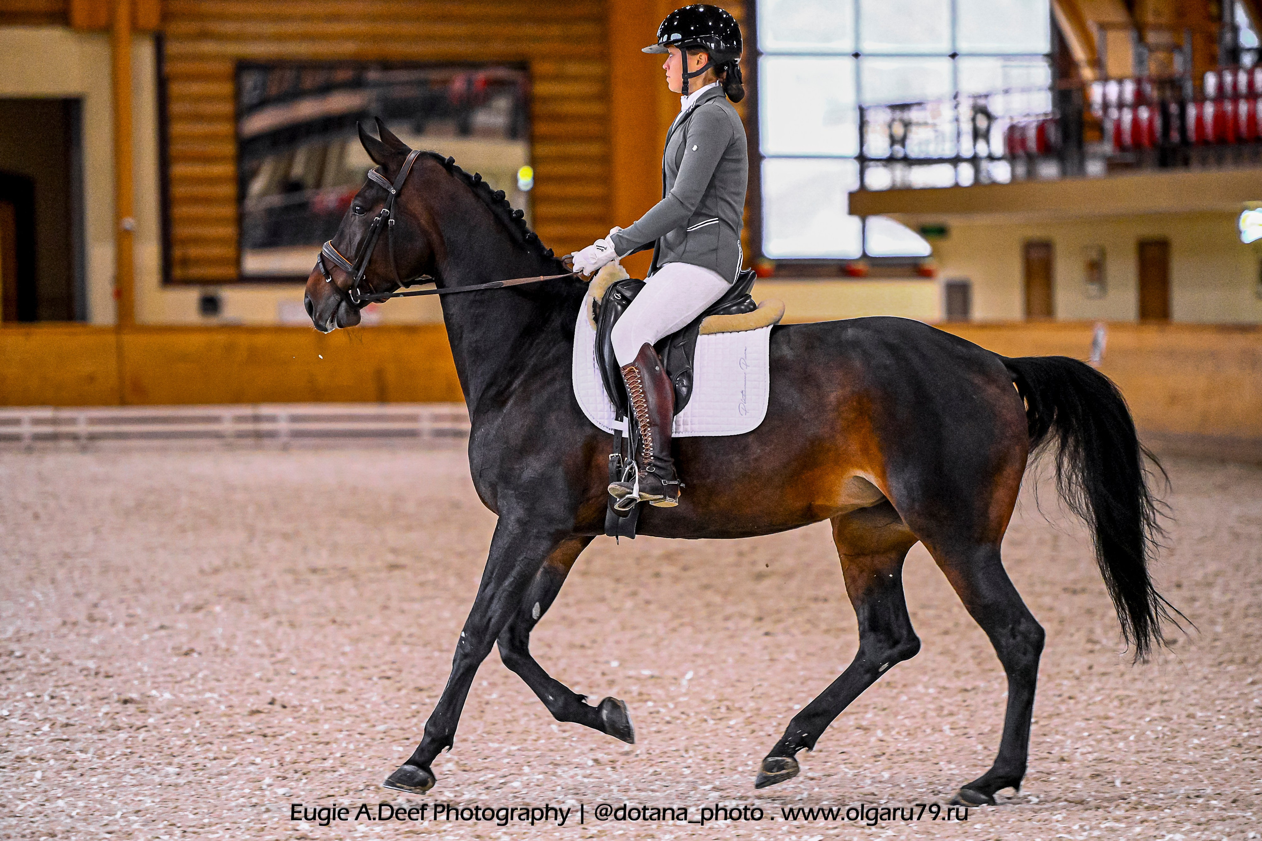 2025.10.18 — КСК Пегас — выездка. ТУРНИРНАЯ КОННАЯ ФОТОГРАФИЯ, Руднева Ольга и Евгений Адеев