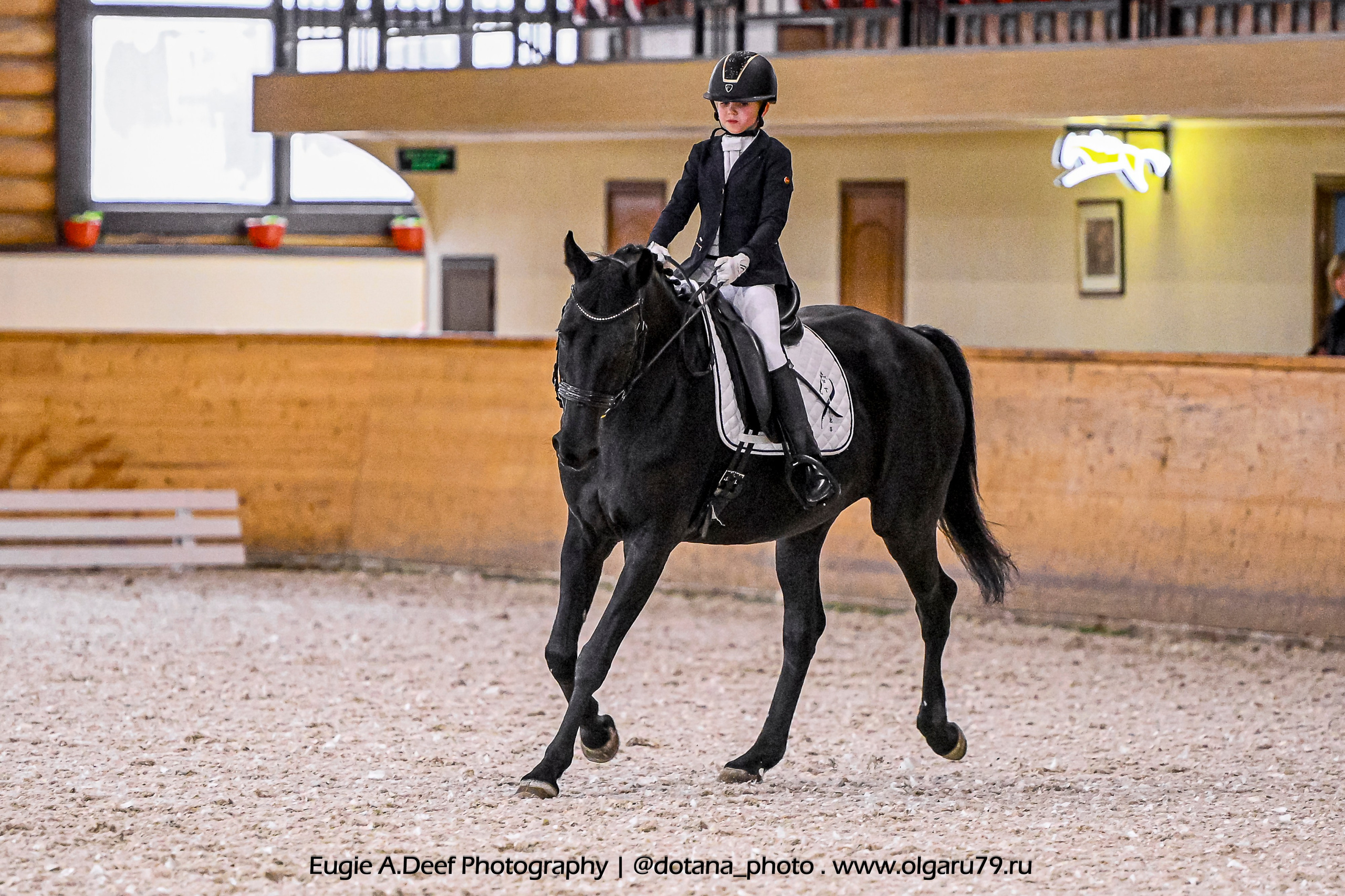 2025.10.18 — КСК Пегас — выездка. ТУРНИРНАЯ КОННАЯ ФОТОГРАФИЯ, Руднева Ольга и Евгений Адеев