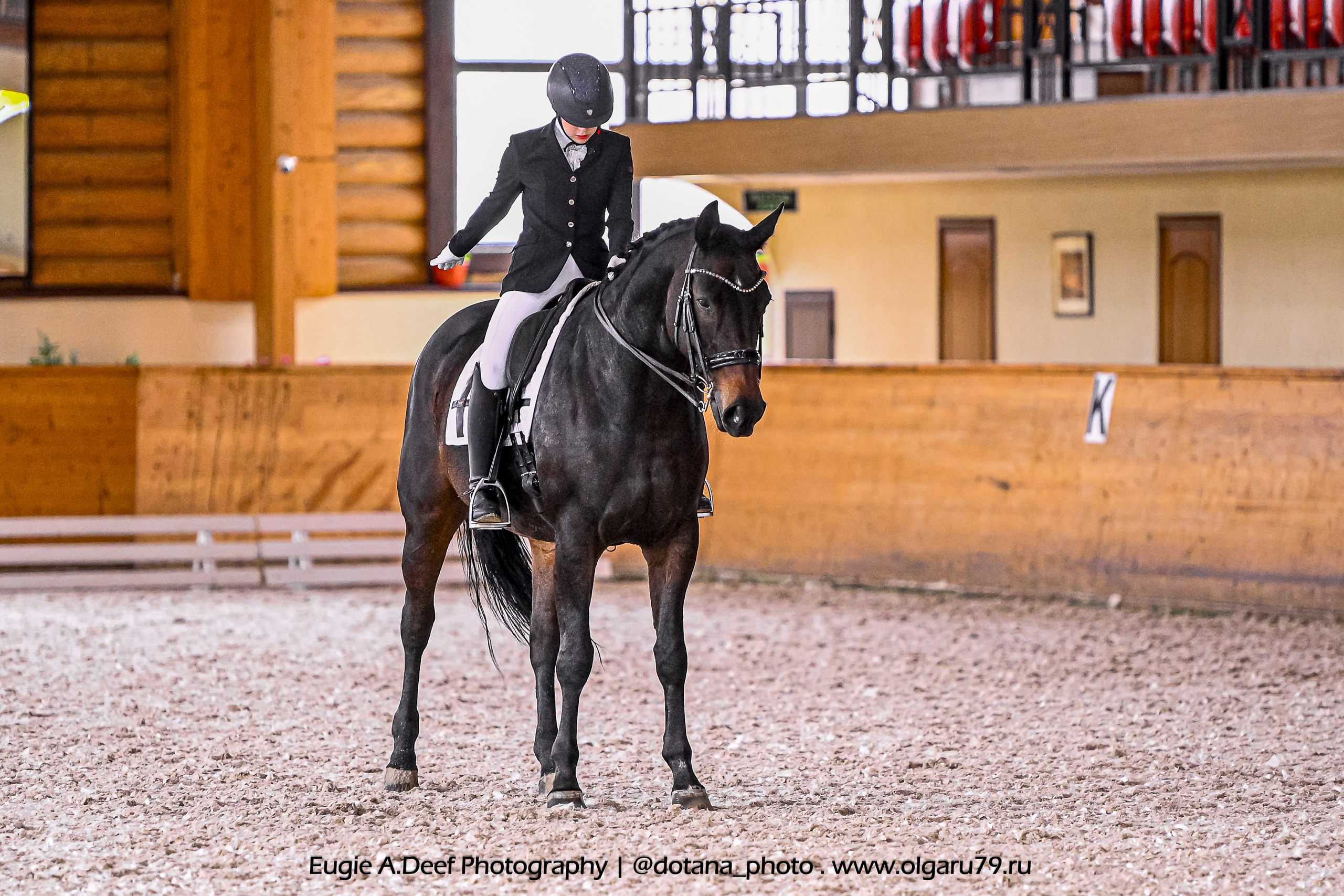2025.10.18 — КСК Пегас — выездка. ТУРНИРНАЯ КОННАЯ ФОТОГРАФИЯ, Руднева Ольга и Евгений Адеев