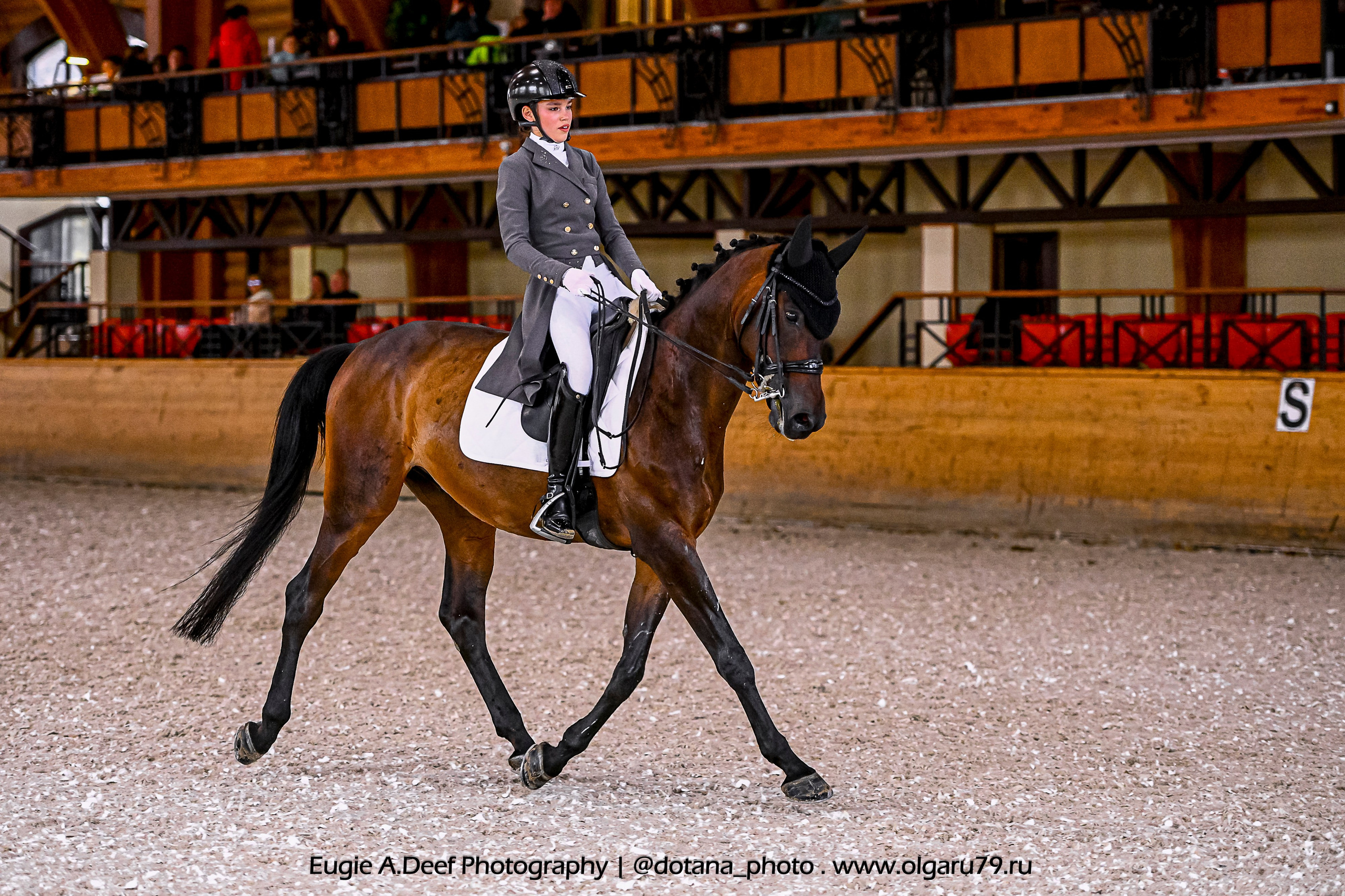 2025.10.18 — КСК Пегас — выездка. ТУРНИРНАЯ КОННАЯ ФОТОГРАФИЯ, Руднева Ольга и Евгений Адеев