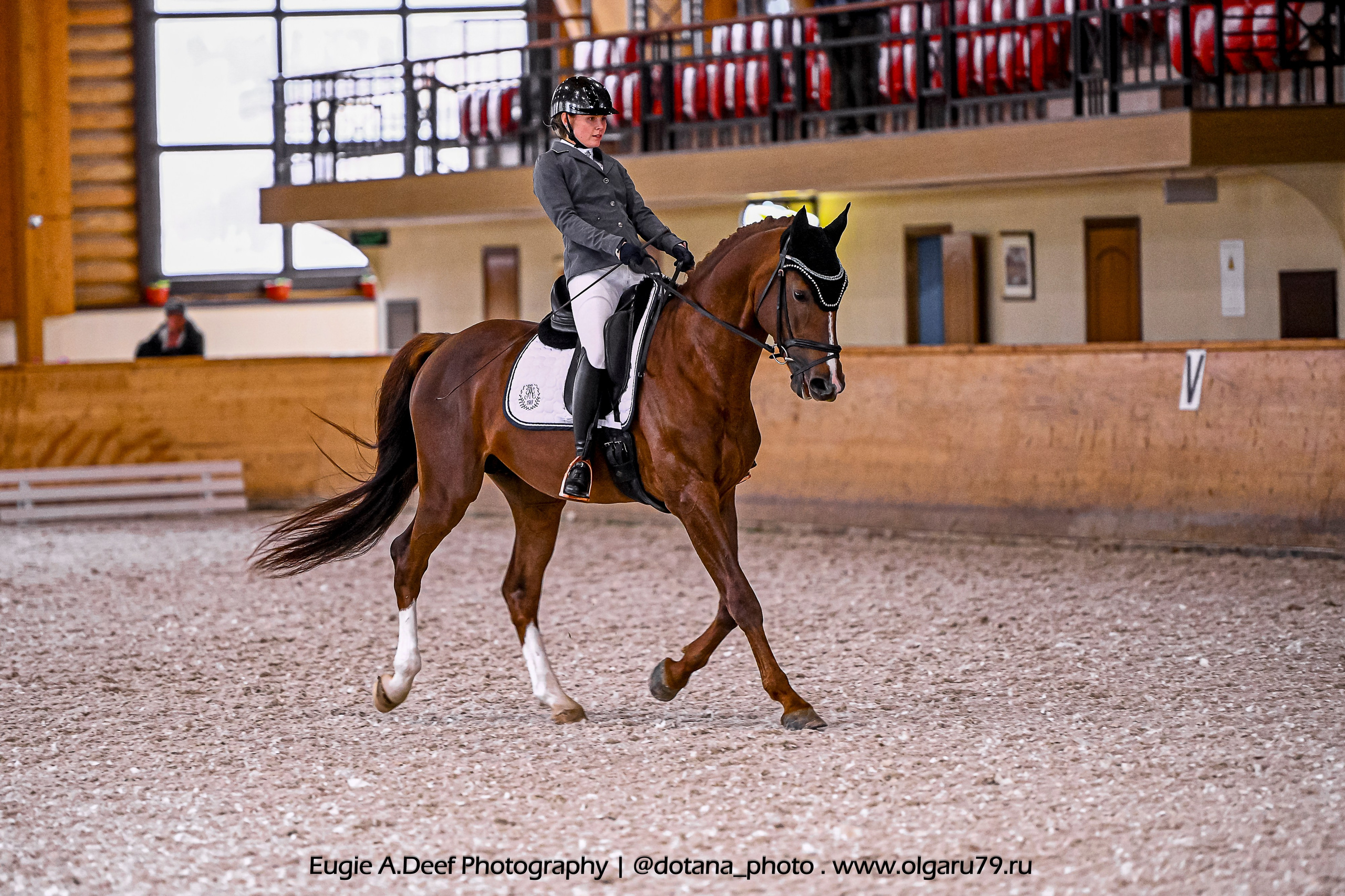 2025.10.18 — КСК Пегас — выездка. ТУРНИРНАЯ КОННАЯ ФОТОГРАФИЯ, Руднева Ольга и Евгений Адеев