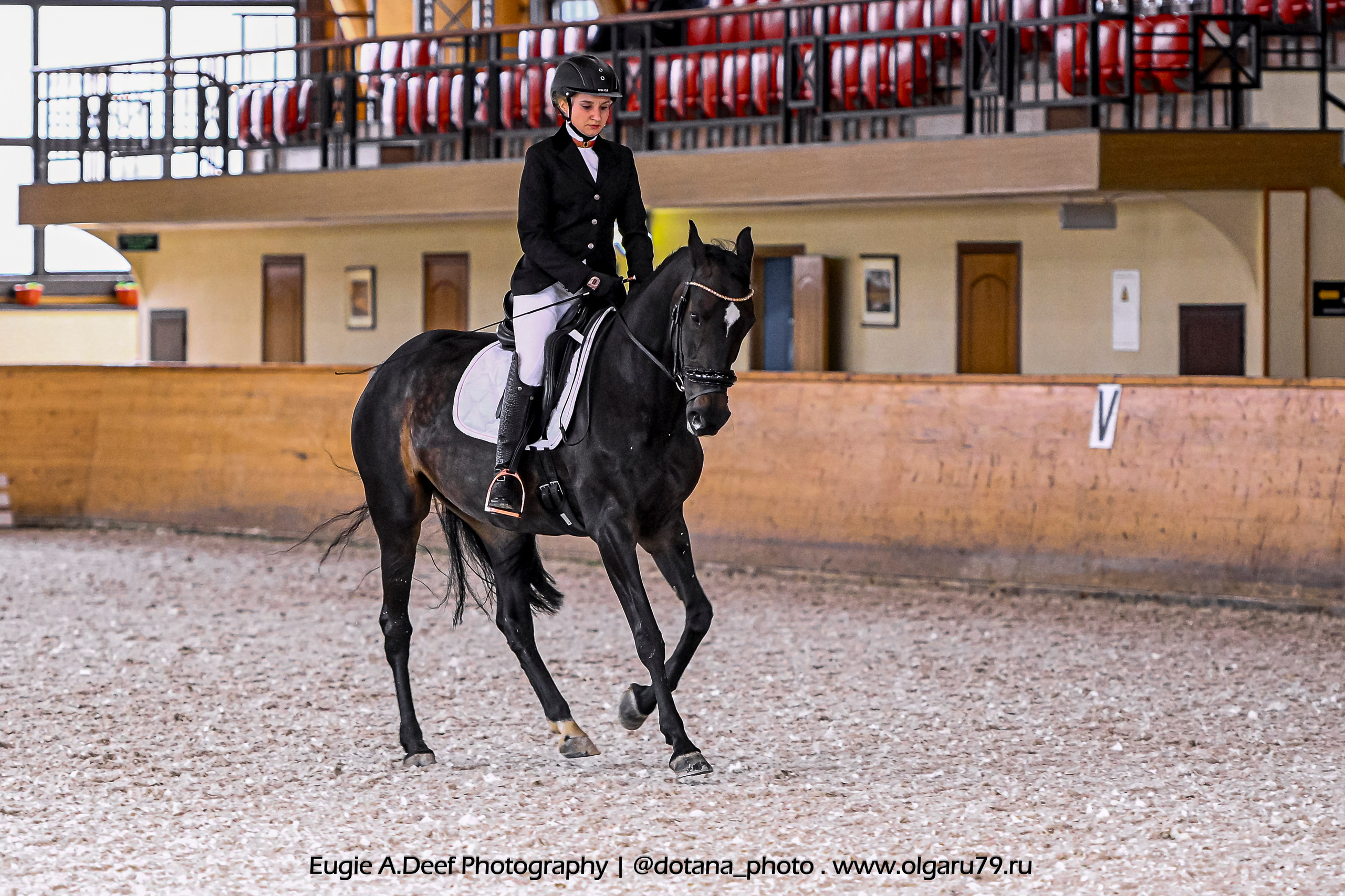 2025.10.18 — КСК Пегас — выездка. ТУРНИРНАЯ КОННАЯ ФОТОГРАФИЯ, Руднева Ольга и Евгений Адеев