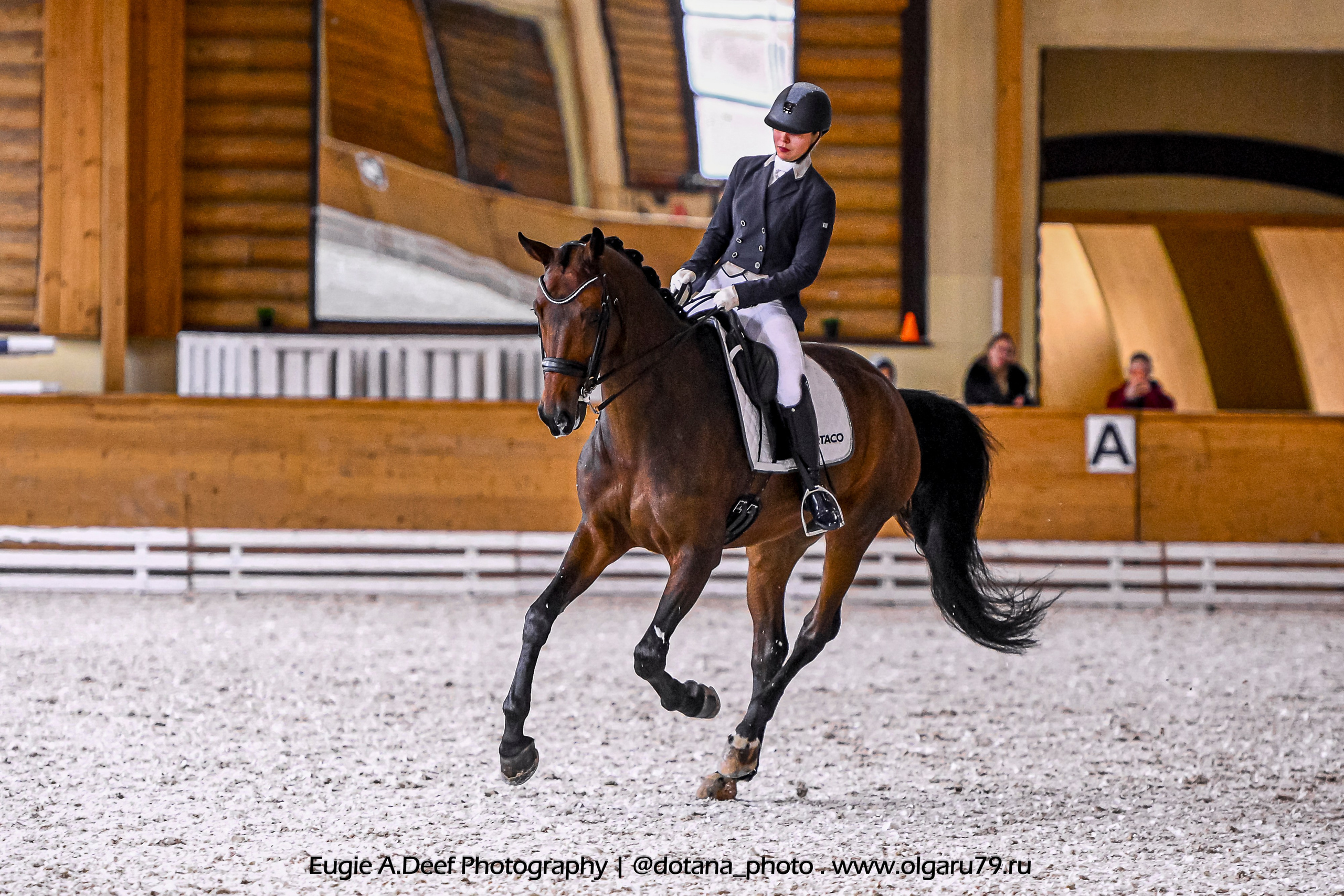 2025.10.18 — КСК Пегас — выездка. ТУРНИРНАЯ КОННАЯ ФОТОГРАФИЯ, Руднева Ольга и Евгений Адеев