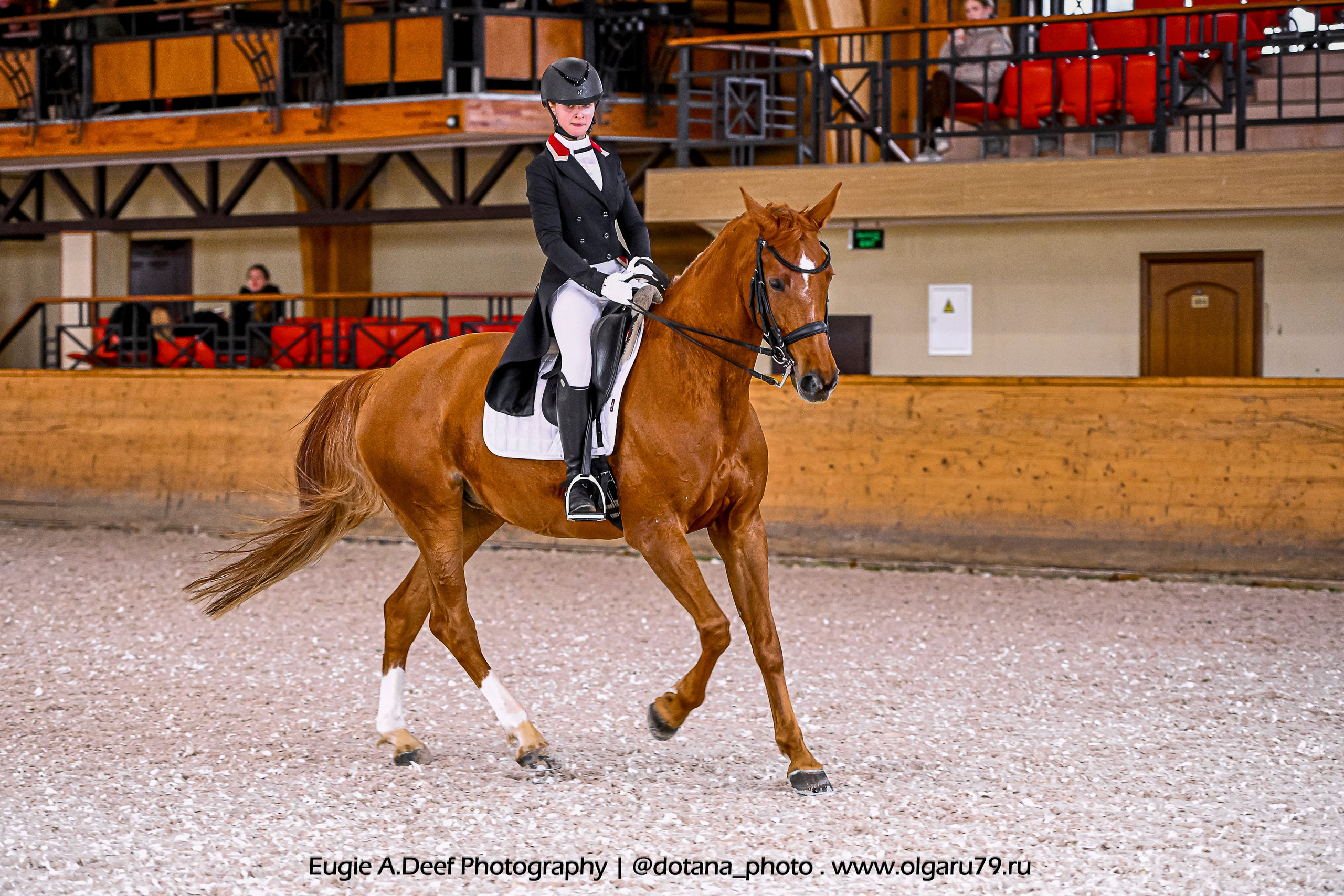 2025.10.18 — КСК Пегас — выездка. ТУРНИРНАЯ КОННАЯ ФОТОГРАФИЯ, Руднева Ольга и Евгений Адеев