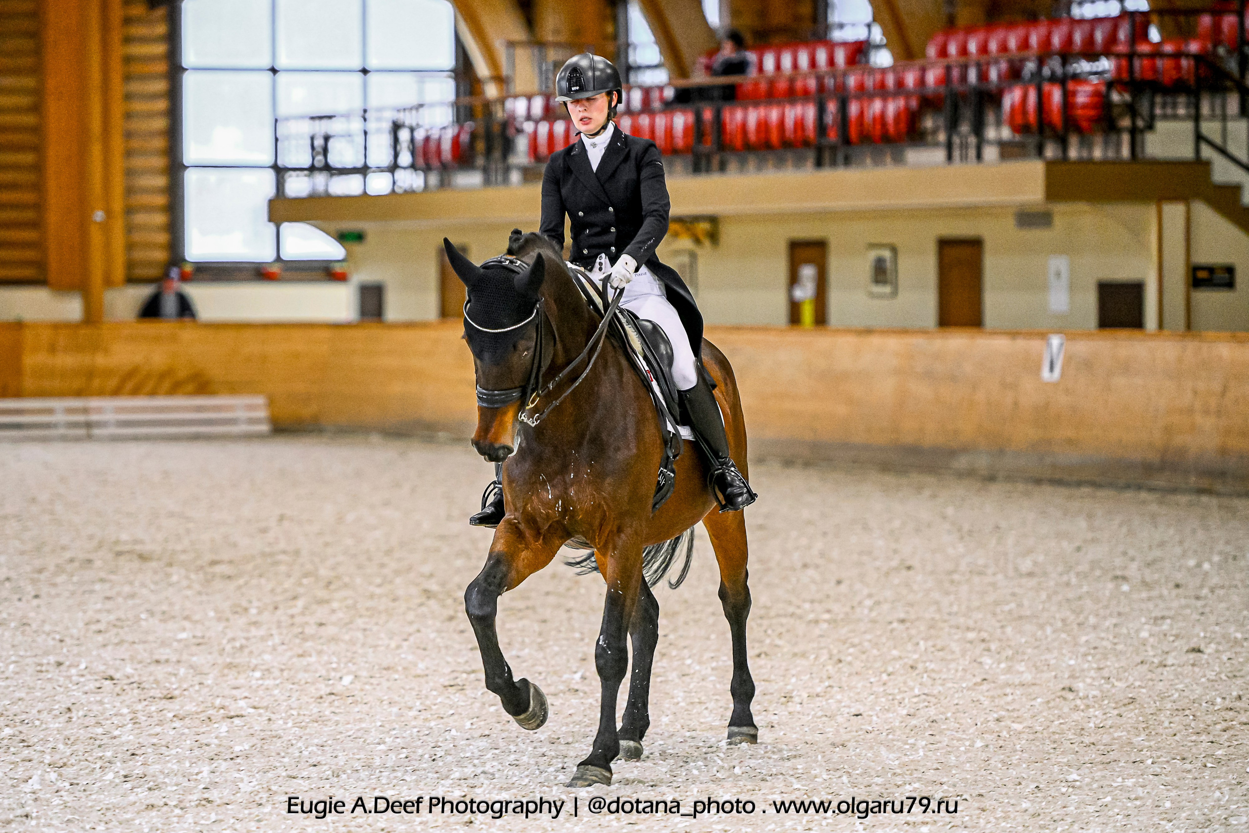 2025.10.18 — КСК Пегас — выездка. ТУРНИРНАЯ КОННАЯ ФОТОГРАФИЯ, Руднева Ольга и Евгений Адеев