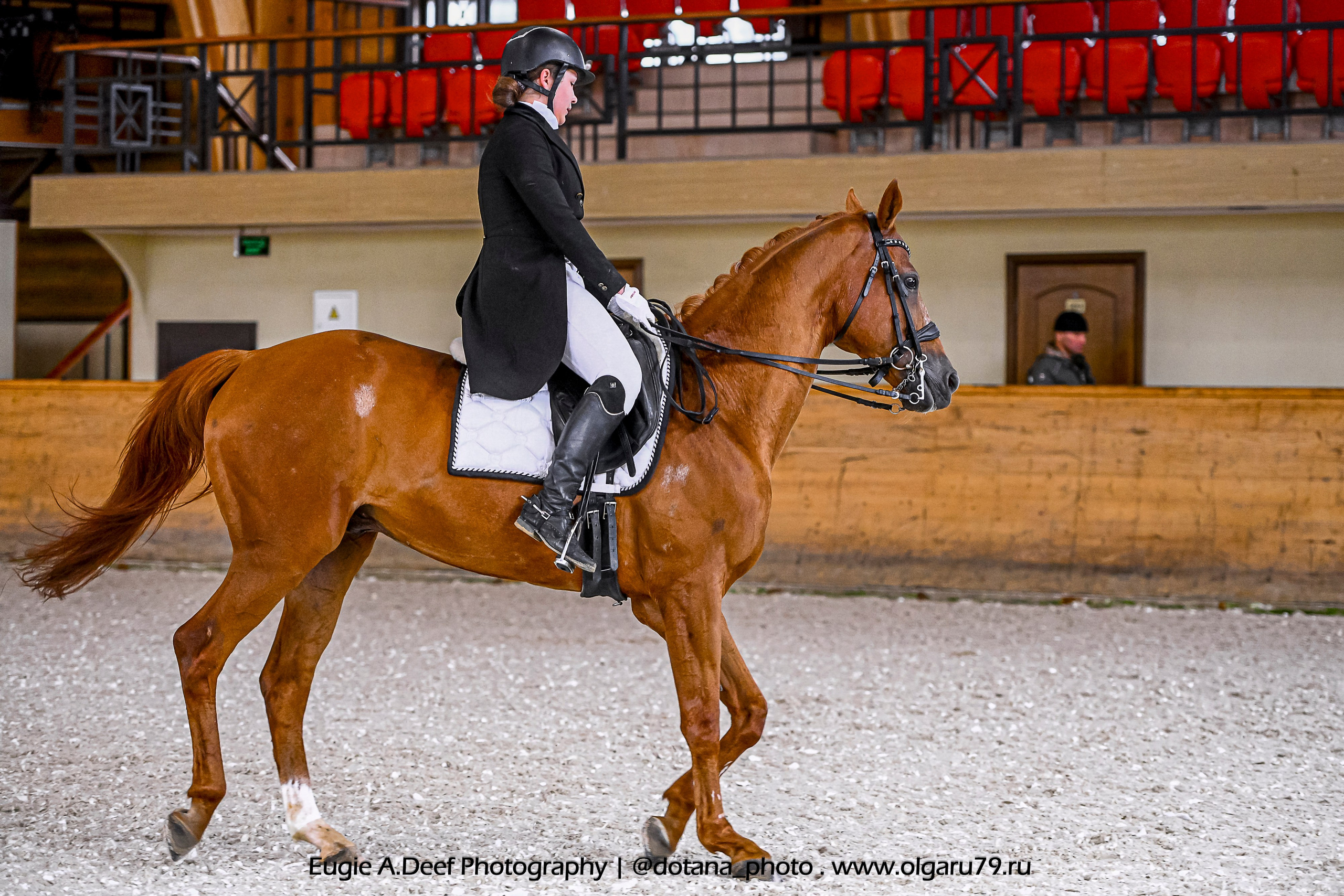 2025.10.18 — КСК Пегас — выездка. ТУРНИРНАЯ КОННАЯ ФОТОГРАФИЯ, Руднева Ольга и Евгений Адеев