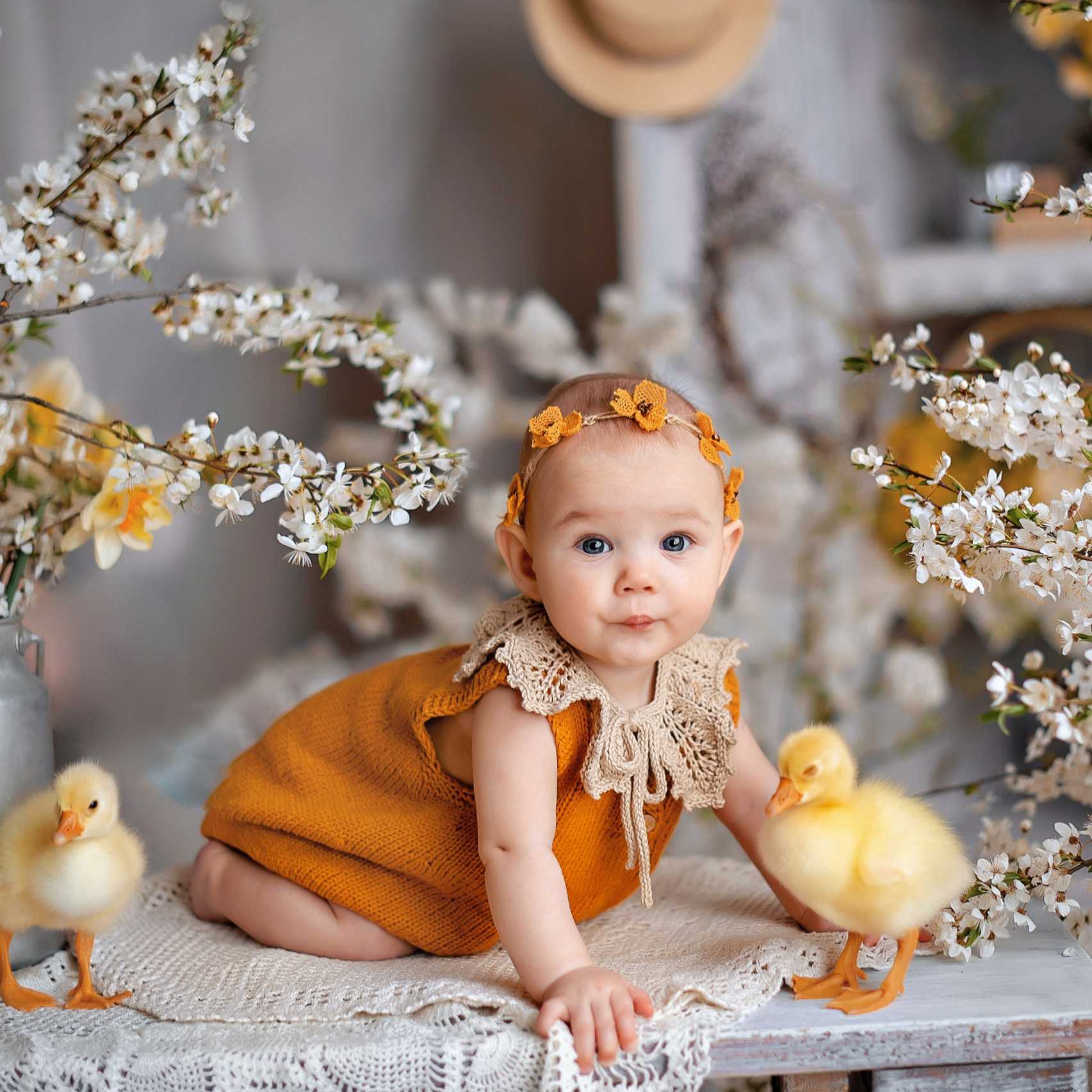 Услуги. Детский семейный фотограф, фотограф новорожденных Могилев Алена Волкова