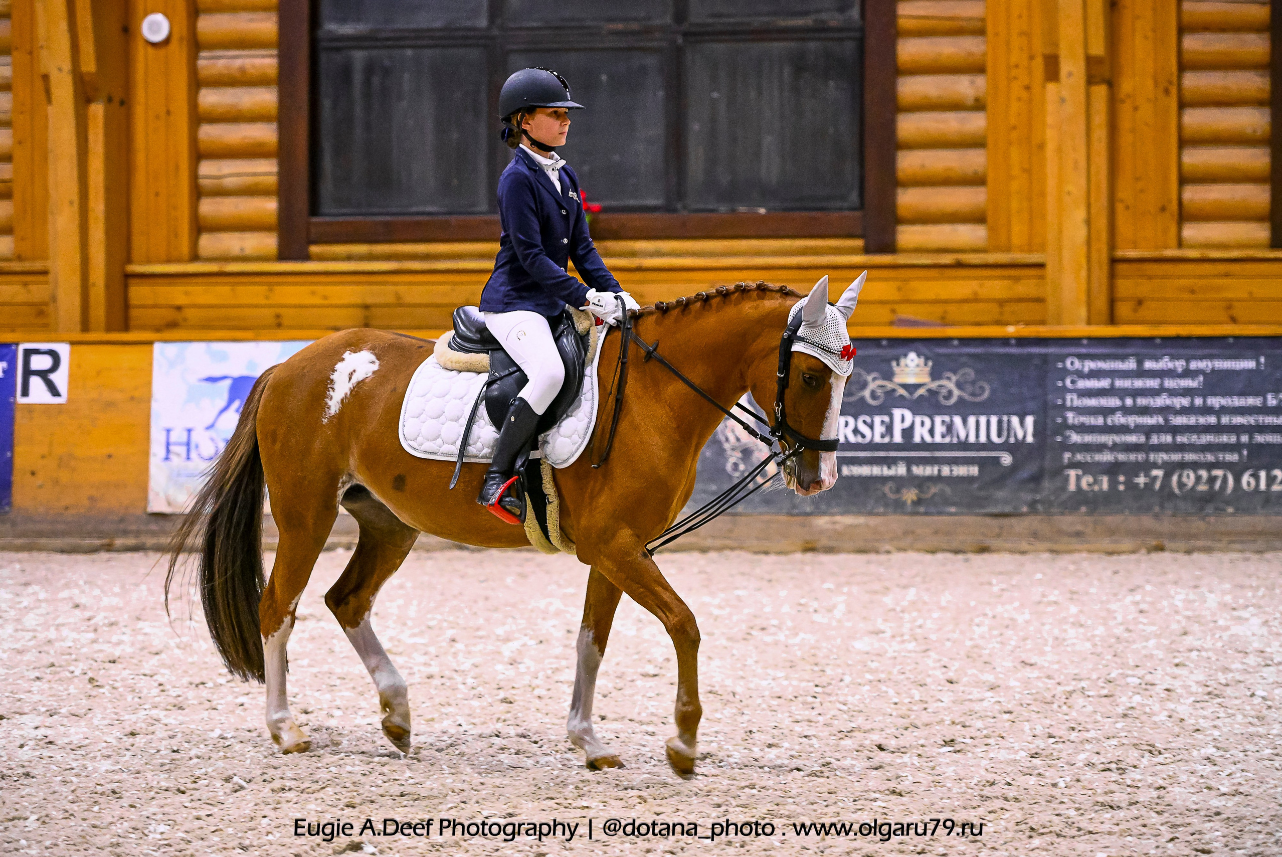 2025.10.18 — КСК Пегас — выездка. ТУРНИРНАЯ КОННАЯ ФОТОГРАФИЯ, Руднева Ольга и Евгений Адеев