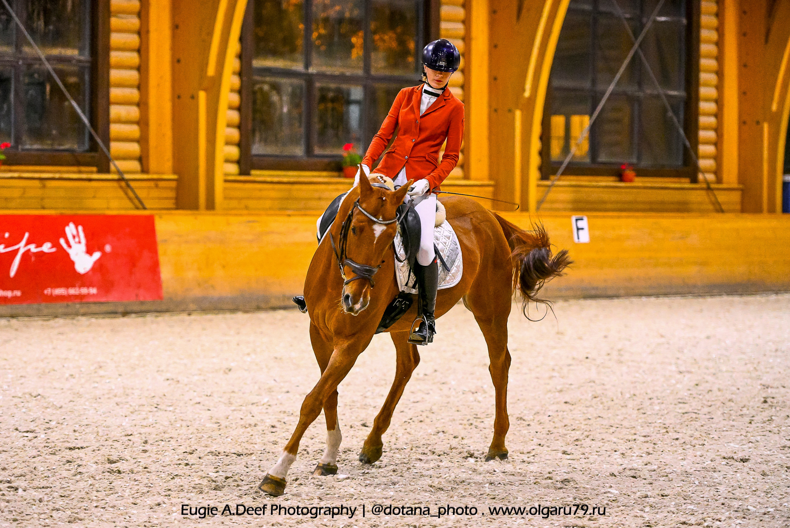 2025.10.18 — КСК Пегас — выездка. ТУРНИРНАЯ КОННАЯ ФОТОГРАФИЯ, Руднева Ольга и Евгений Адеев