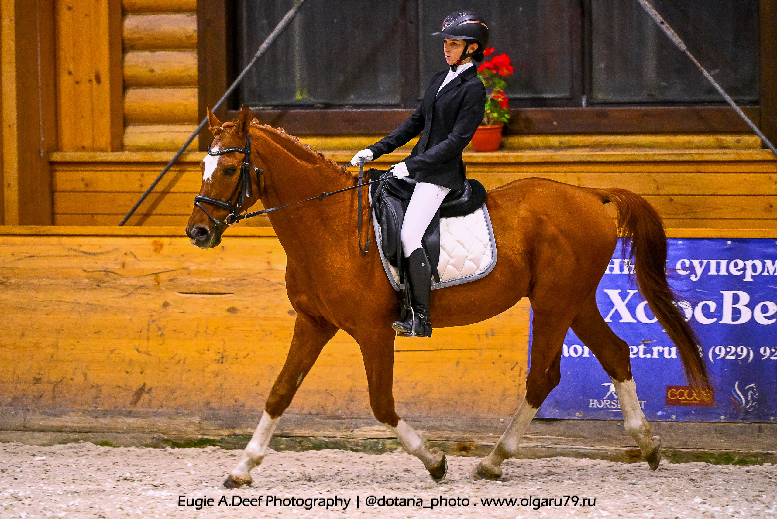 2025.10.18 — КСК Пегас — выездка. ТУРНИРНАЯ КОННАЯ ФОТОГРАФИЯ, Руднева Ольга и Евгений Адеев