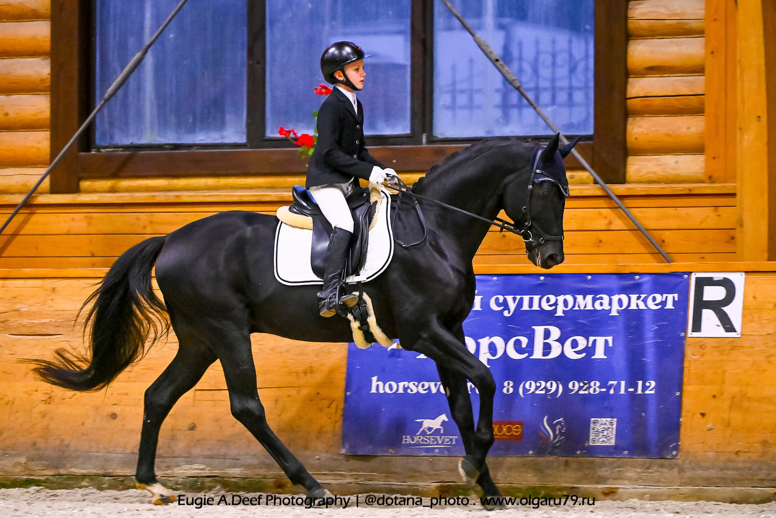 2025.10.18 — КСК Пегас — выездка. ТУРНИРНАЯ КОННАЯ ФОТОГРАФИЯ, Руднева Ольга и Евгений Адеев