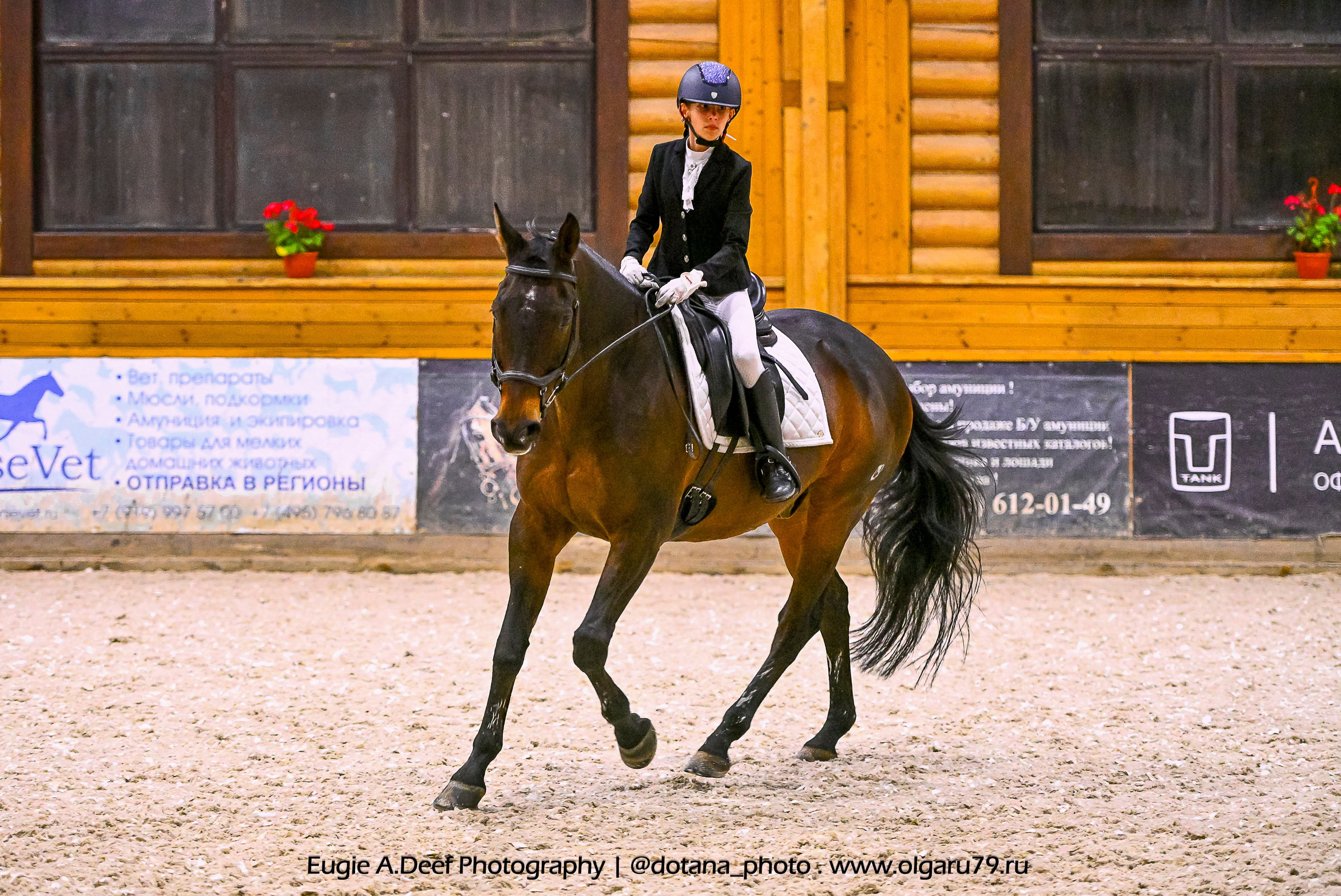 2025.10.18 — КСК Пегас — выездка. ТУРНИРНАЯ КОННАЯ ФОТОГРАФИЯ, Руднева Ольга и Евгений Адеев