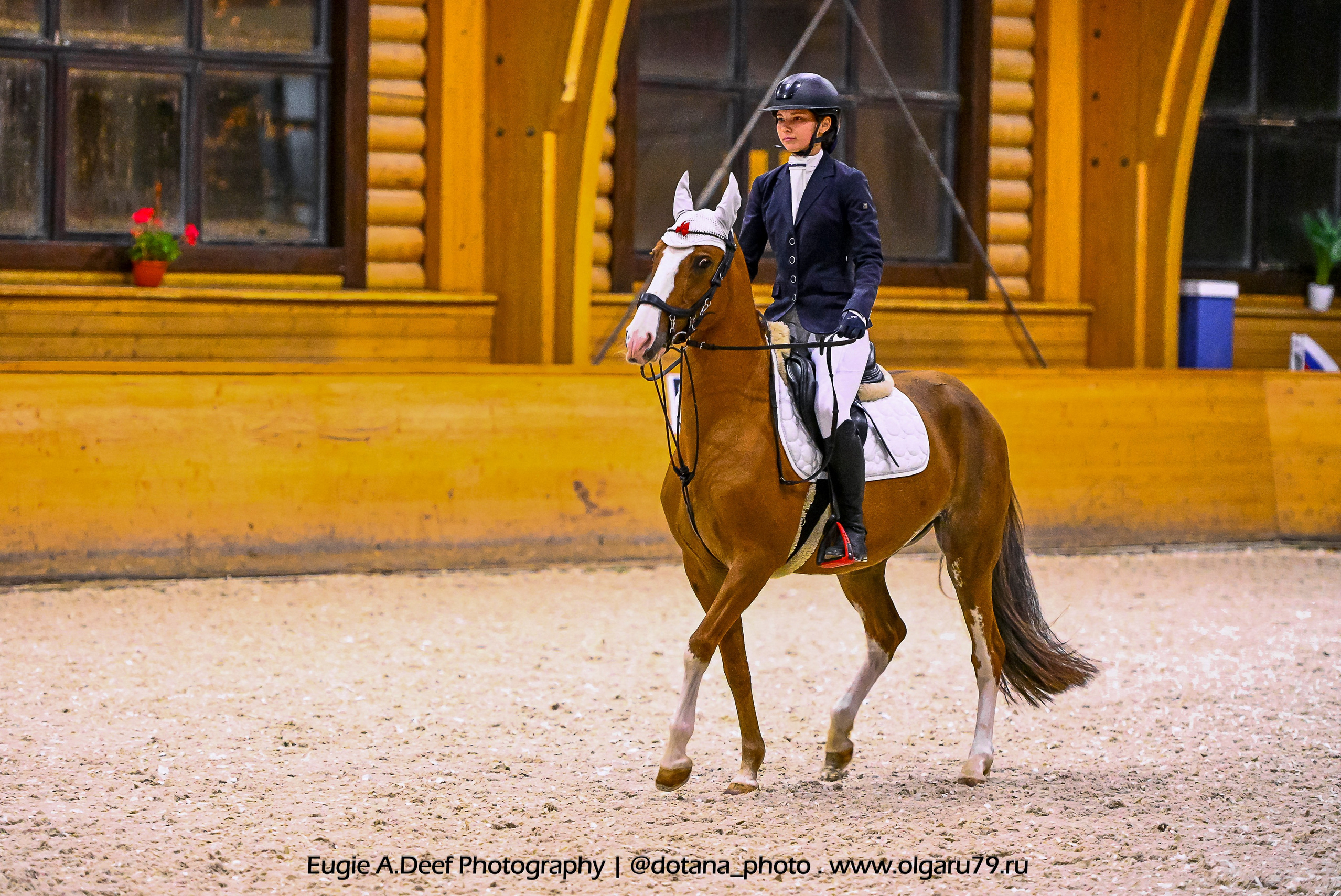 2025.10.18 — КСК Пегас — выездка. ТУРНИРНАЯ КОННАЯ ФОТОГРАФИЯ, Руднева Ольга и Евгений Адеев