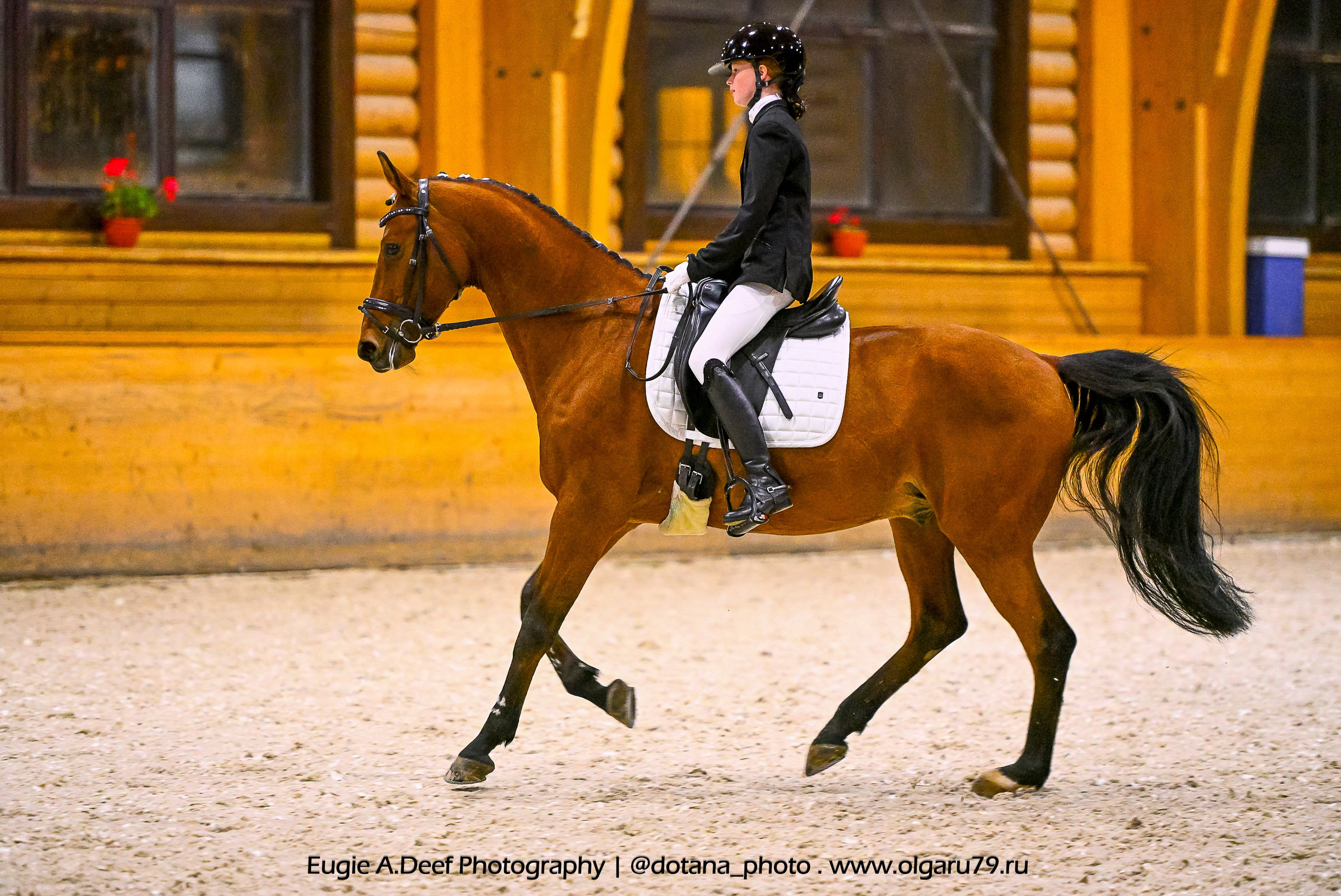 2025.10.18 — КСК Пегас — выездка. ТУРНИРНАЯ КОННАЯ ФОТОГРАФИЯ, Руднева Ольга и Евгений Адеев