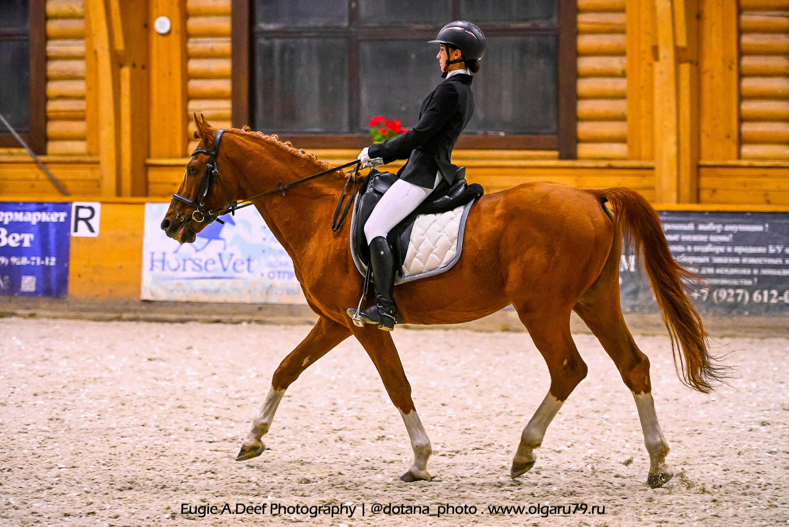 2025.10.18 — КСК Пегас — выездка. ТУРНИРНАЯ КОННАЯ ФОТОГРАФИЯ, Руднева Ольга и Евгений Адеев