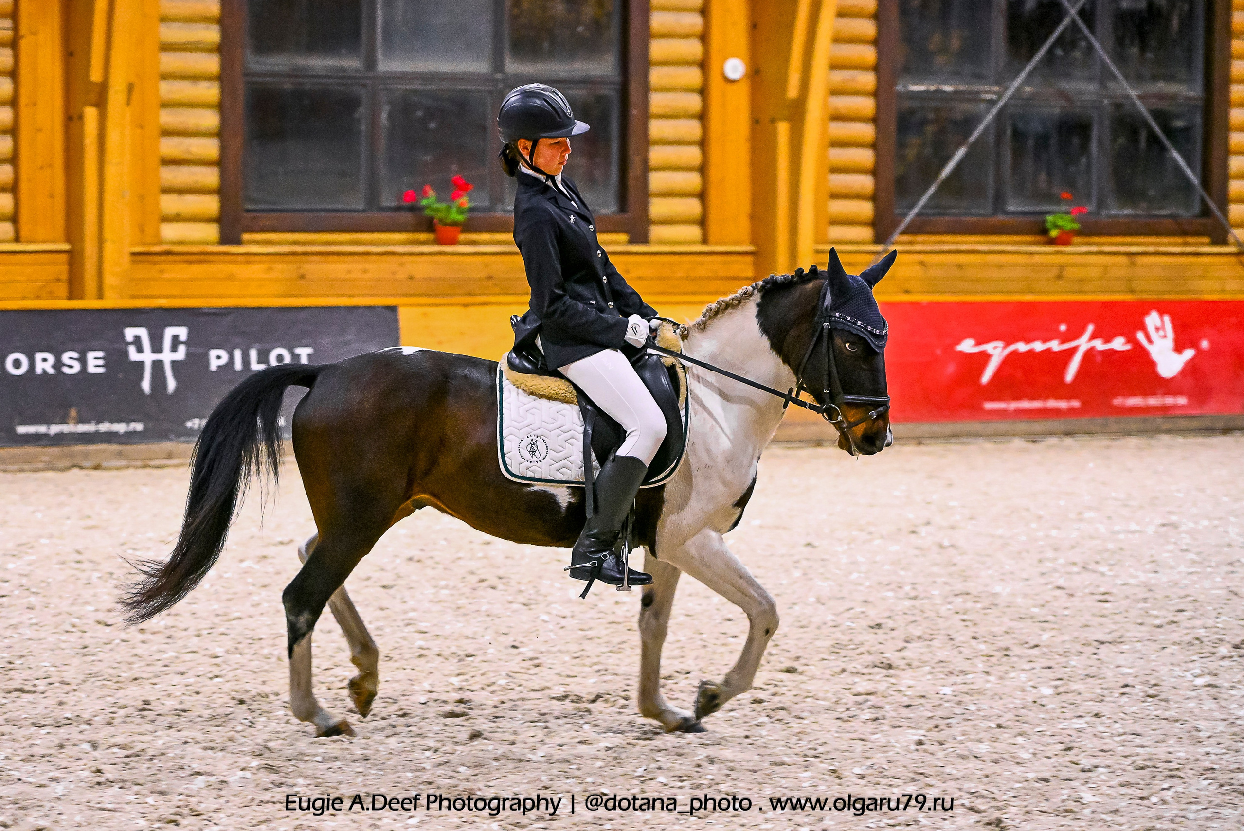 2025.10.18 — КСК Пегас — выездка. ТУРНИРНАЯ КОННАЯ ФОТОГРАФИЯ, Руднева Ольга и Евгений Адеев