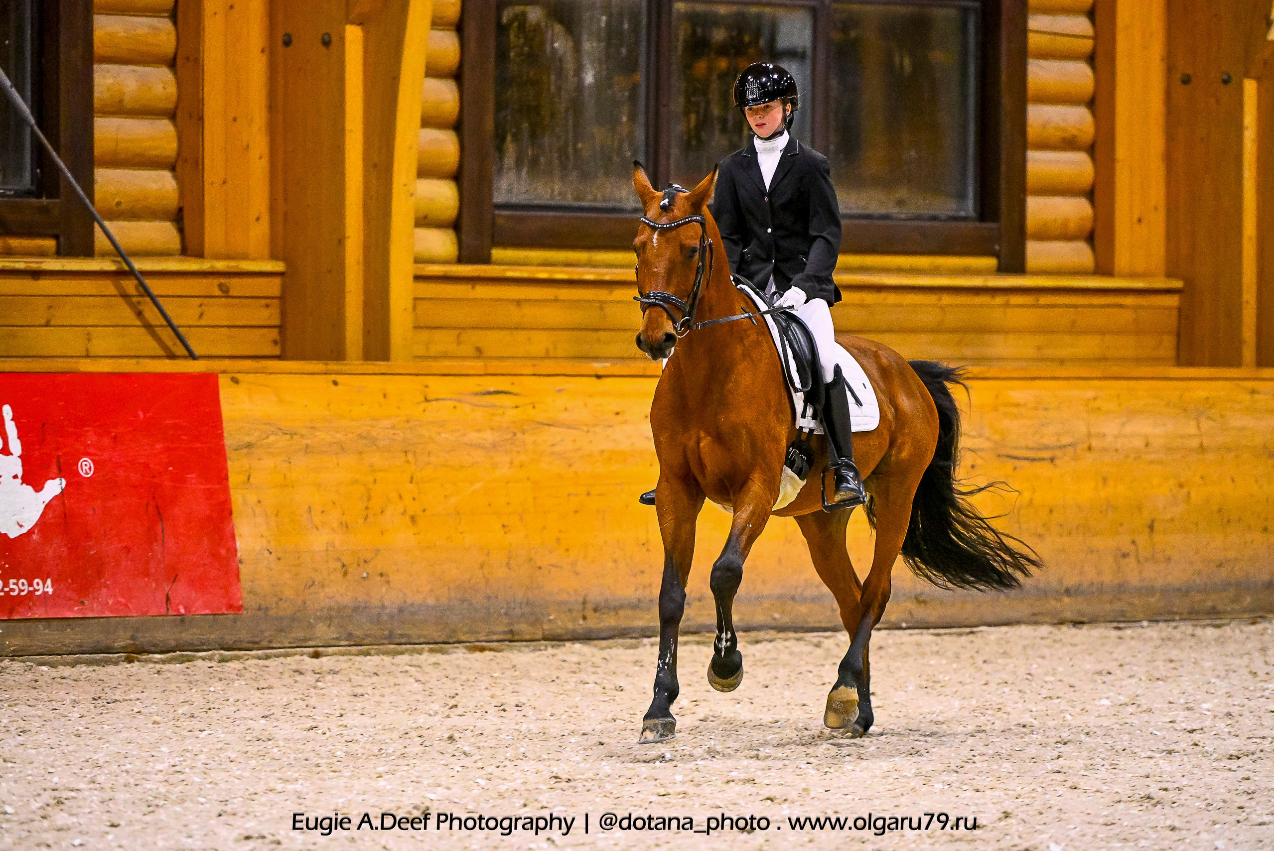 2025.10.18 — КСК Пегас — выездка. ТУРНИРНАЯ КОННАЯ ФОТОГРАФИЯ, Руднева Ольга и Евгений Адеев