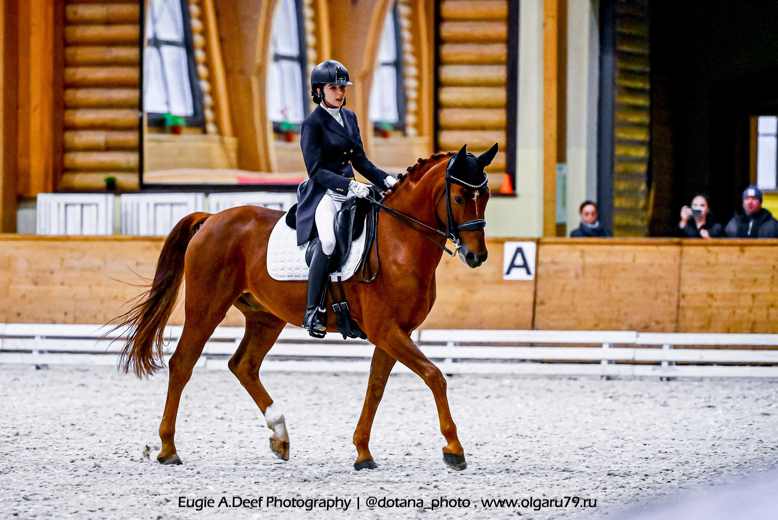 2025.10.18 — КСК Пегас — выездка. ТУРНИРНАЯ КОННАЯ ФОТОГРАФИЯ, Руднева Ольга и Евгений Адеев