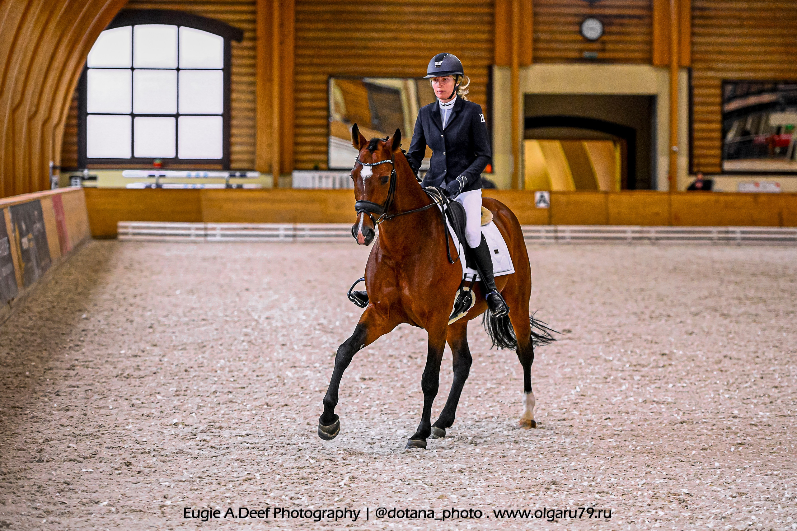 2025.10.18 — КСК Пегас — выездка. ТУРНИРНАЯ КОННАЯ ФОТОГРАФИЯ, Руднева Ольга и Евгений Адеев