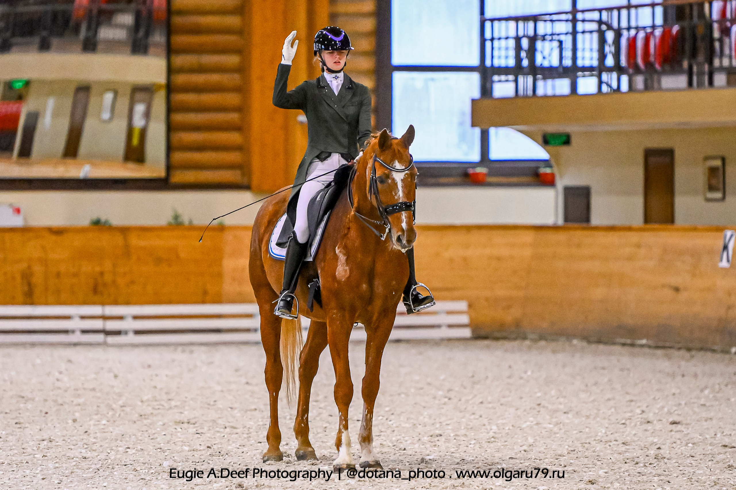 2025.10.18 — КСК Пегас — выездка. ТУРНИРНАЯ КОННАЯ ФОТОГРАФИЯ, Руднева Ольга и Евгений Адеев