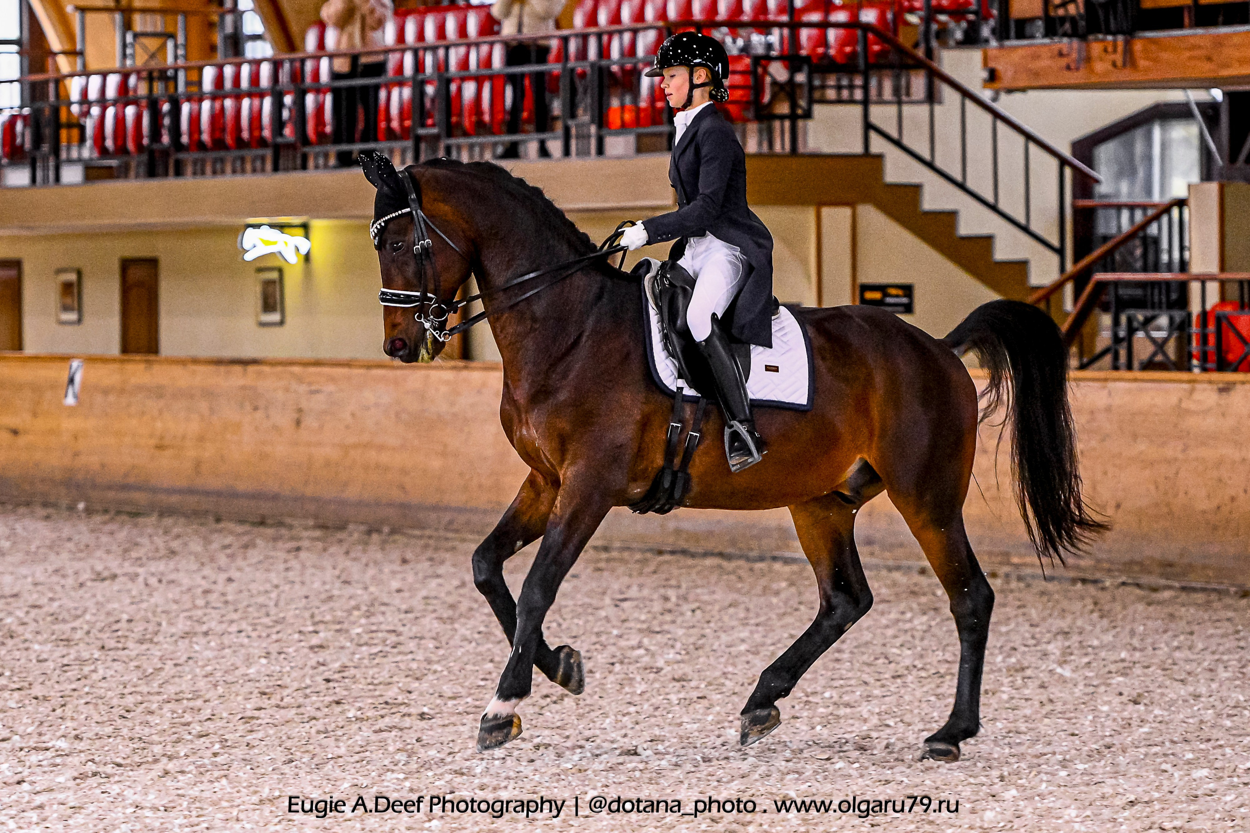 2025.10.18 — КСК Пегас — выездка. ТУРНИРНАЯ КОННАЯ ФОТОГРАФИЯ, Руднева Ольга и Евгений Адеев