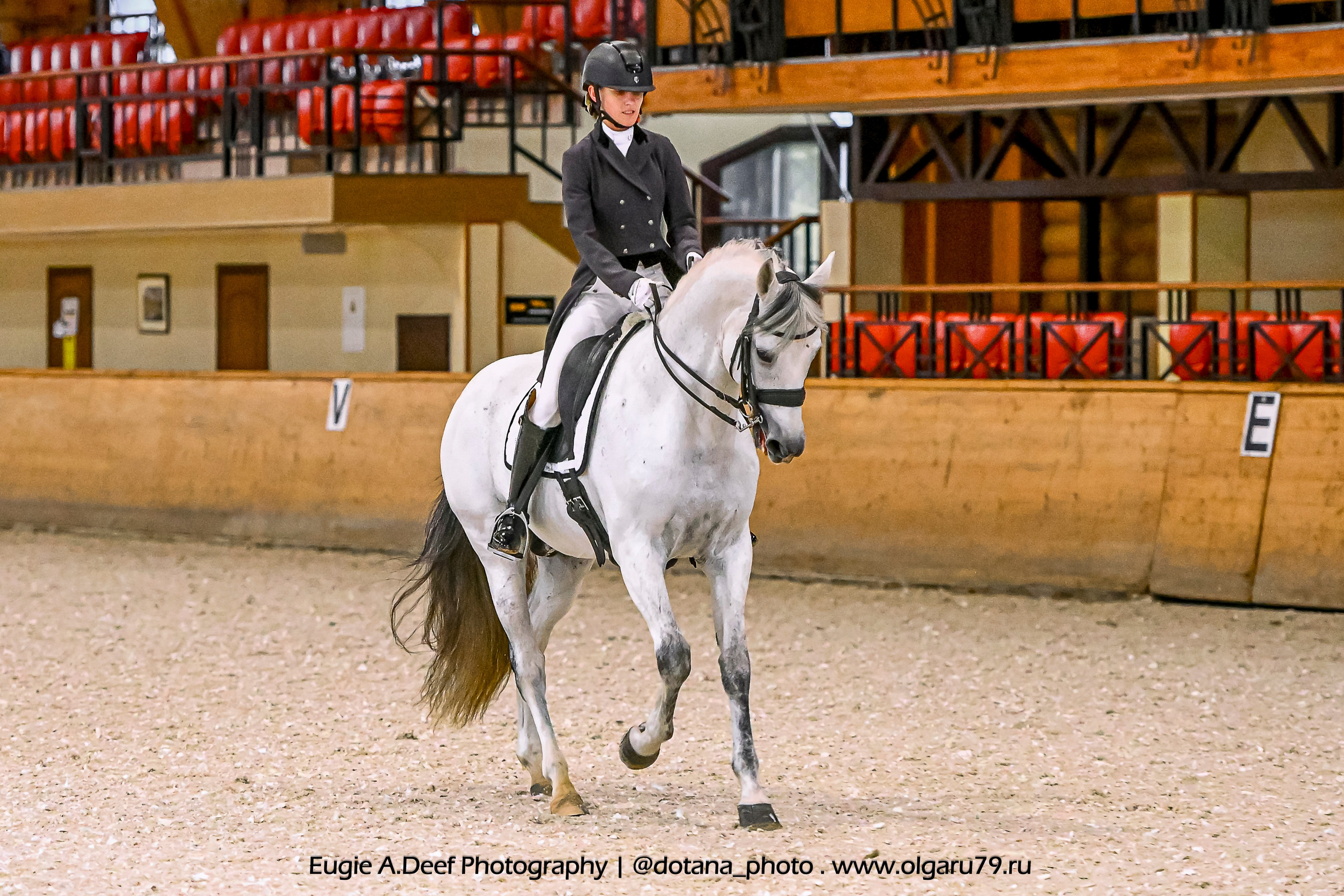 2025.10.18 — КСК Пегас — выездка. ТУРНИРНАЯ КОННАЯ ФОТОГРАФИЯ, Руднева Ольга и Евгений Адеев