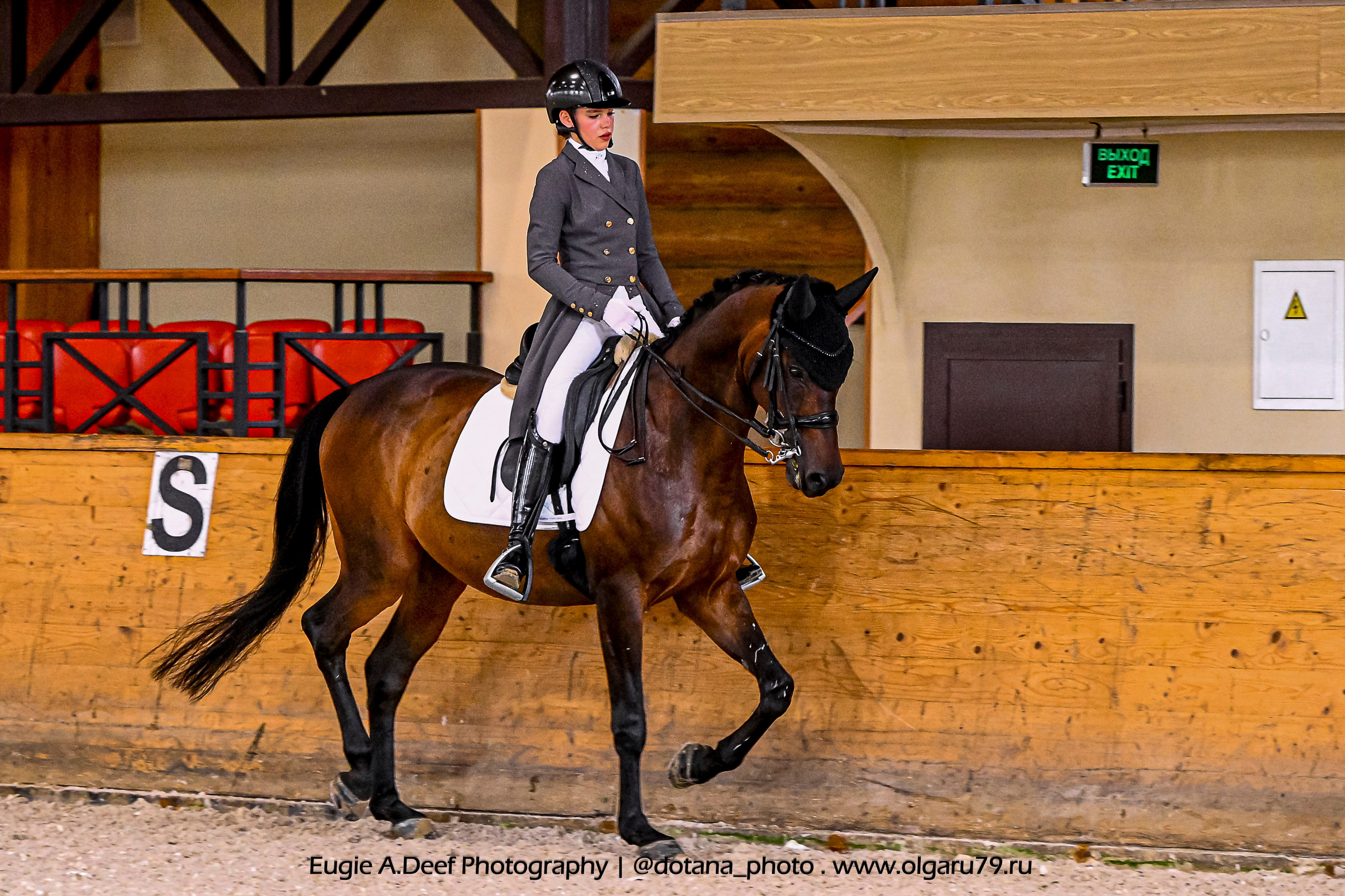 2025.10.18 — КСК Пегас — выездка. ТУРНИРНАЯ КОННАЯ ФОТОГРАФИЯ, Руднева Ольга и Евгений Адеев