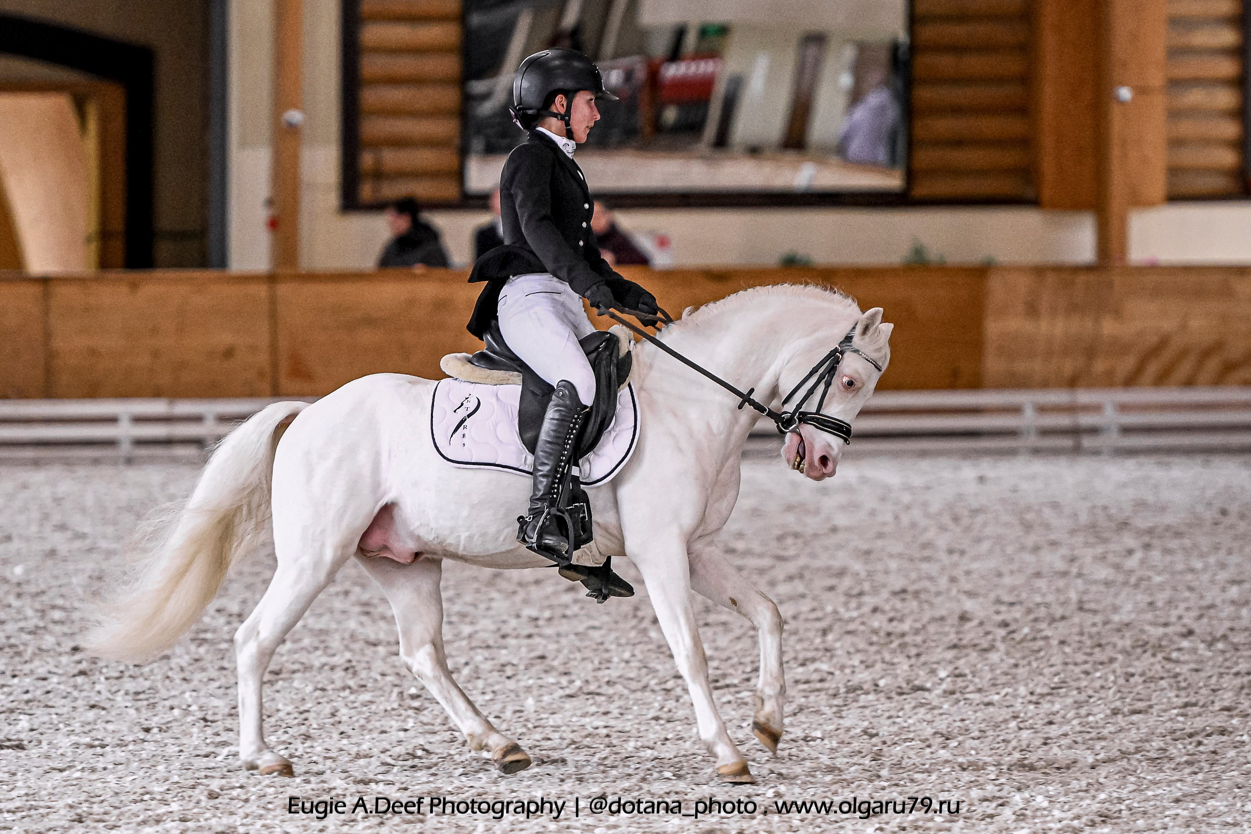 2025.10.18 — КСК Пегас — выездка. ТУРНИРНАЯ КОННАЯ ФОТОГРАФИЯ, Руднева Ольга и Евгений Адеев