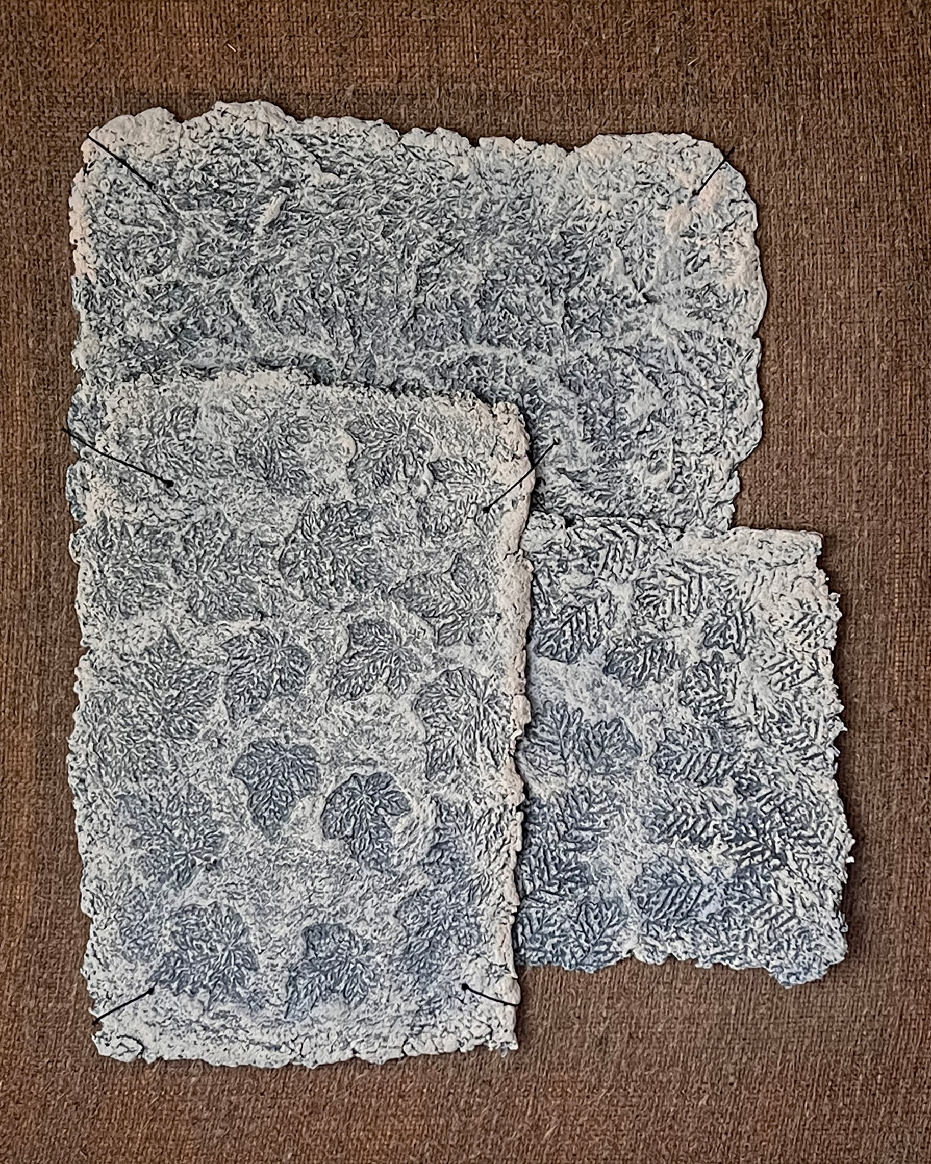Terra Incognita. Artist Ekaterina Starovoitova