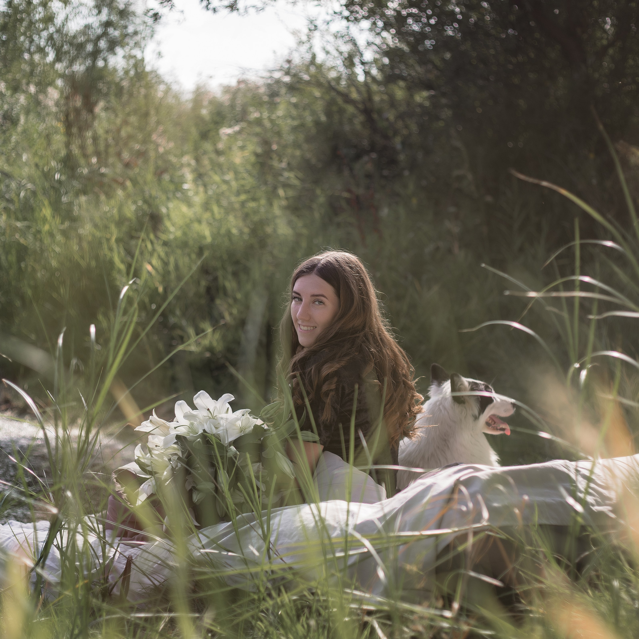 Питомника Грааль Гардарика. Питомник Грааль Гардарика