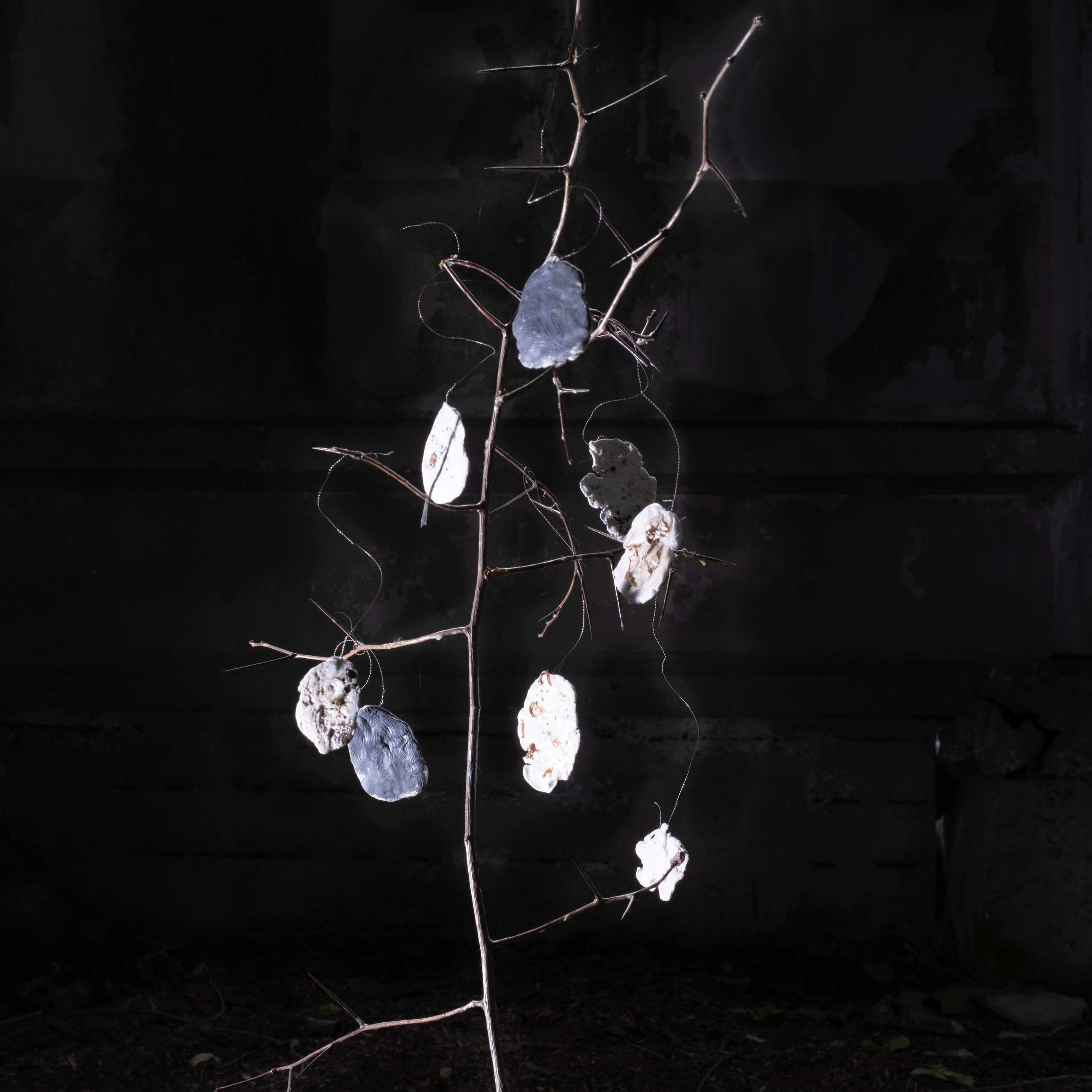 Выставка Рабочий рай 30.09 — 30.12.2024