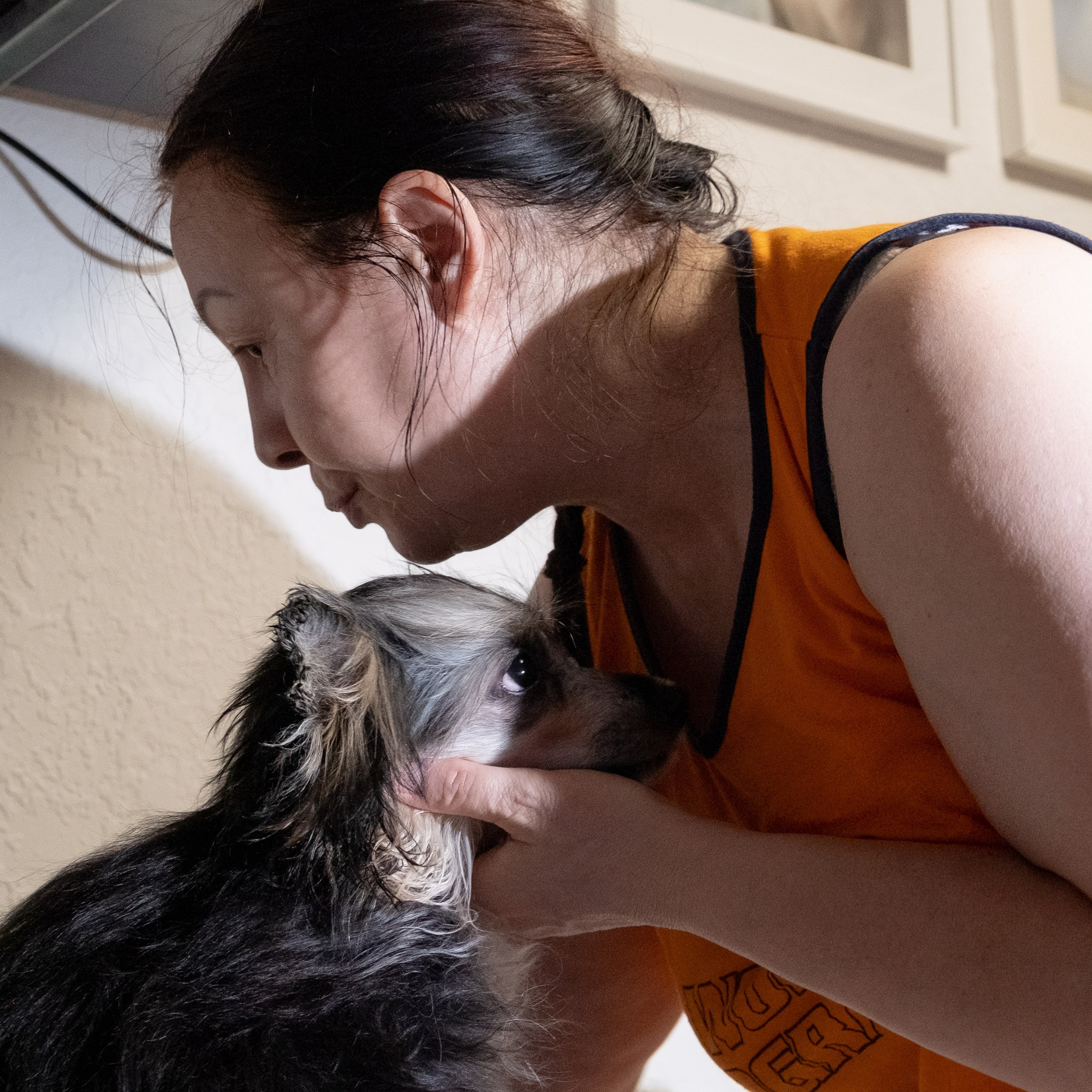 Grace goes shopping for clothes. Chinese Crested Dog Kennel Poale Ell