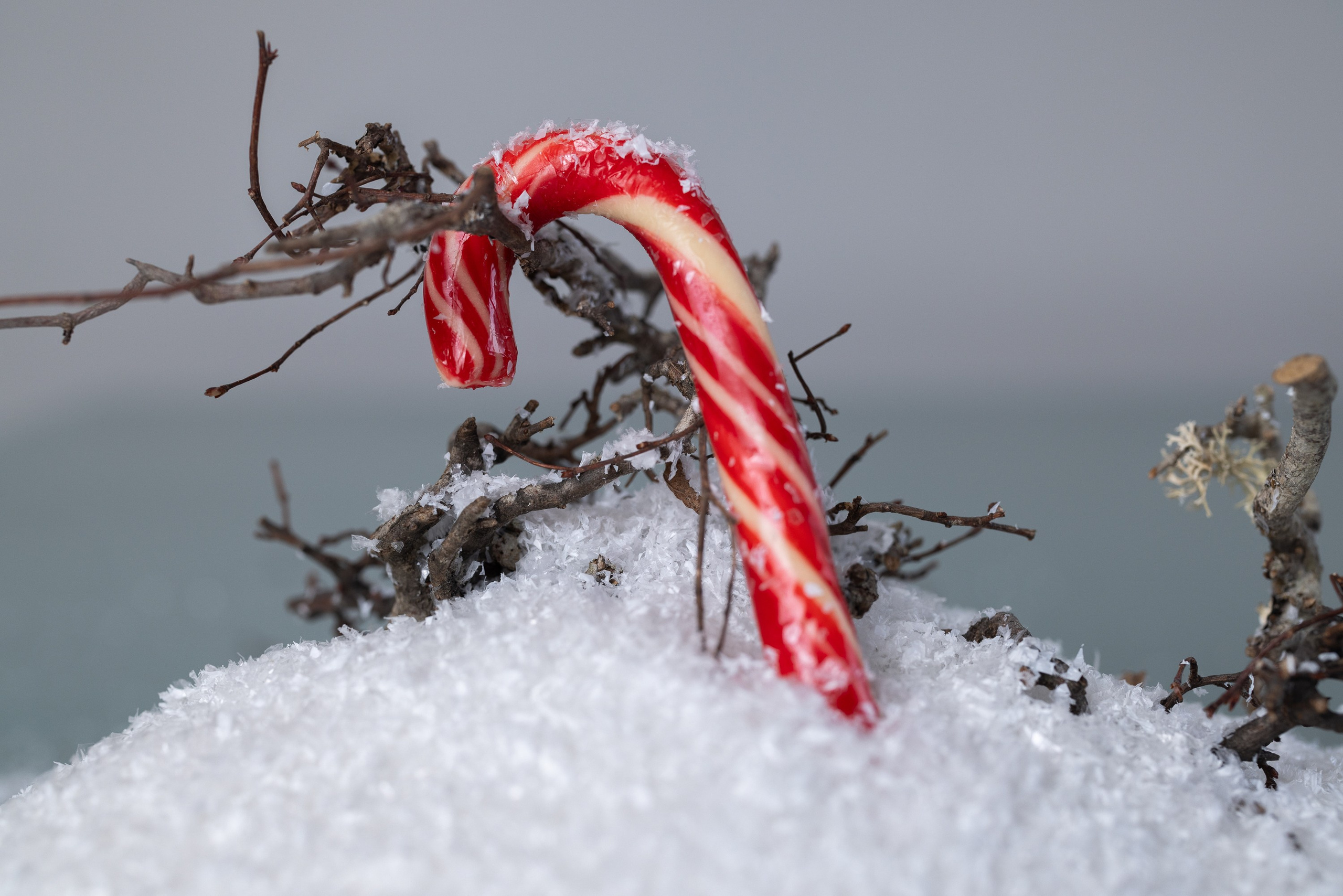 День 1 #адвенткалендарь. OLGA OLEYNIKOVA Пространство, люди, смыслы