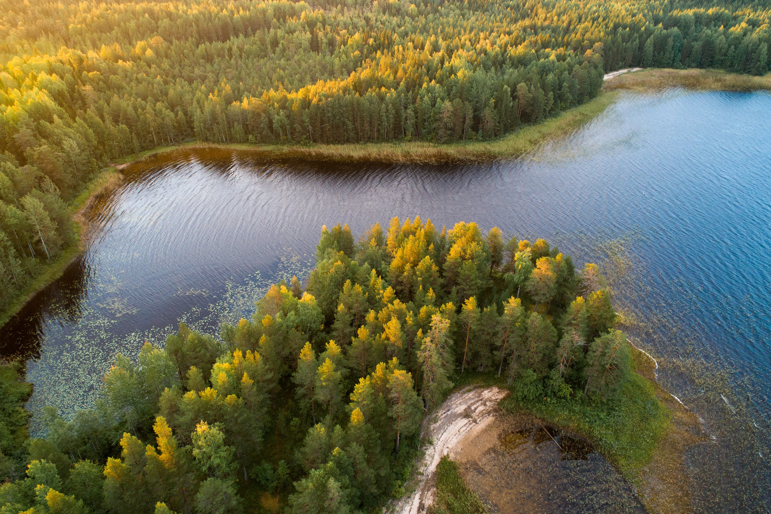 Купить фото. Фотограф и видеооператор в Туле | Даниил Рыбак