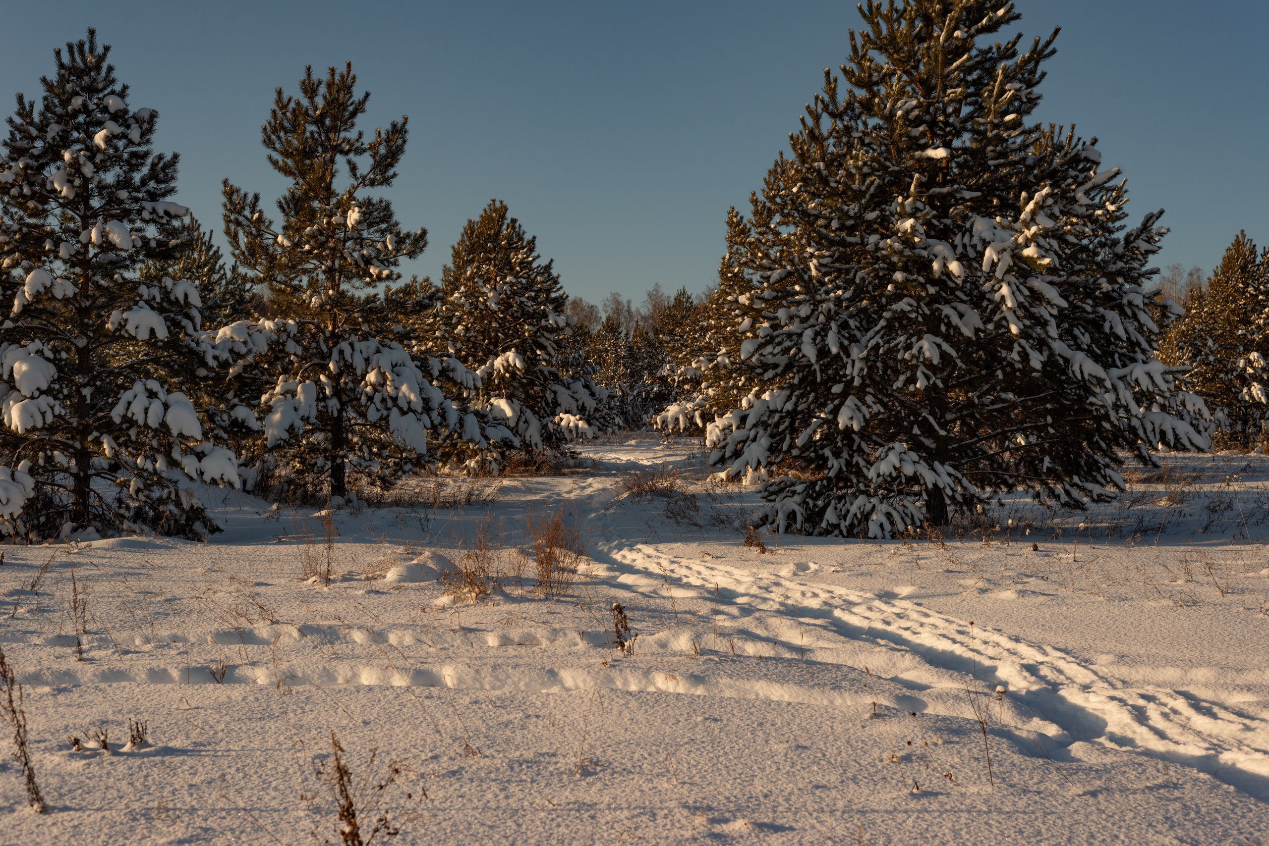 Лень. Домики. Зима. Начинающий фотограф-любитель Евгений Серебряков в Екатеринбурге