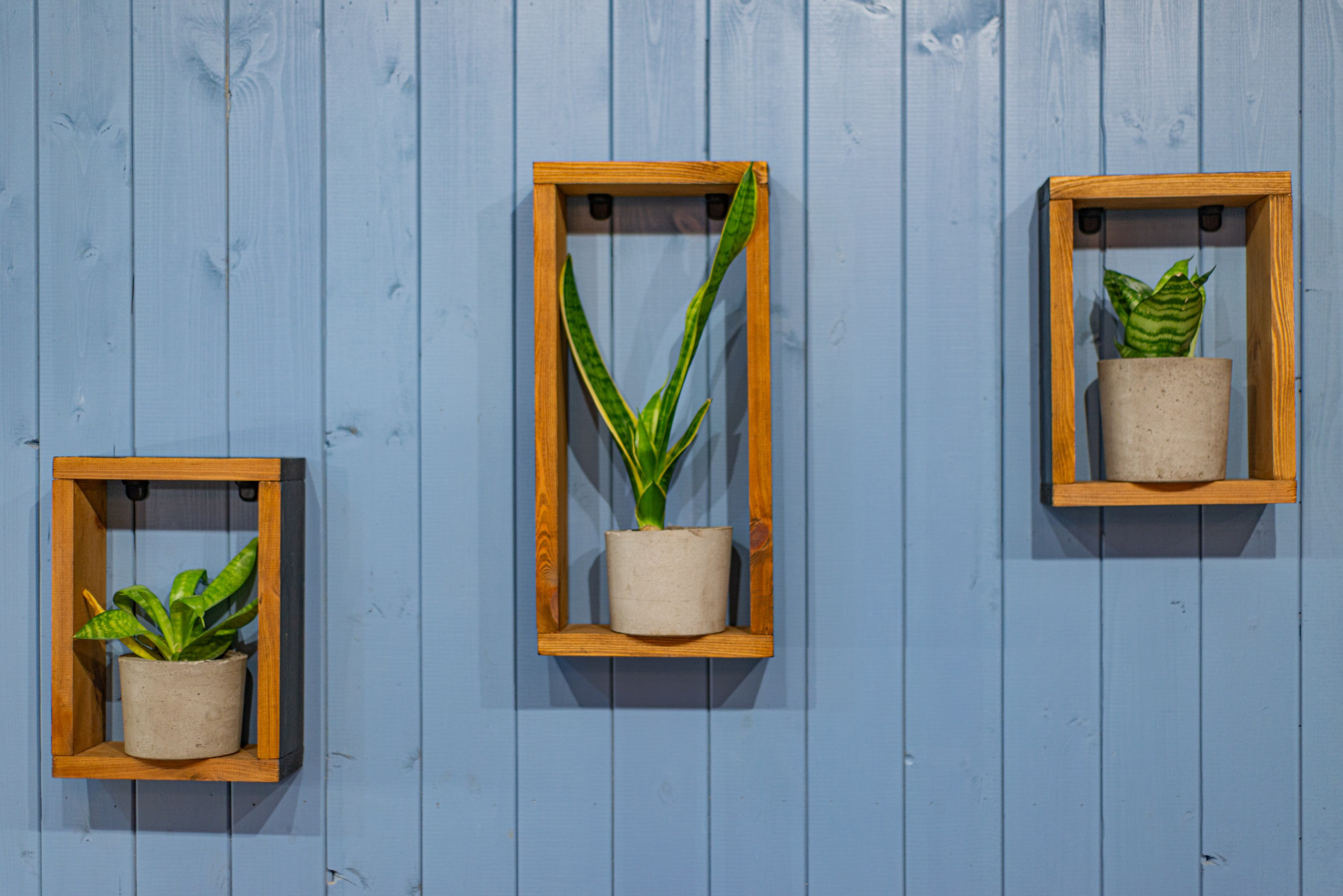 Лень. Домики. Зима. Начинающий фотограф-любитель Евгений Серебряков в Екатеринбурге