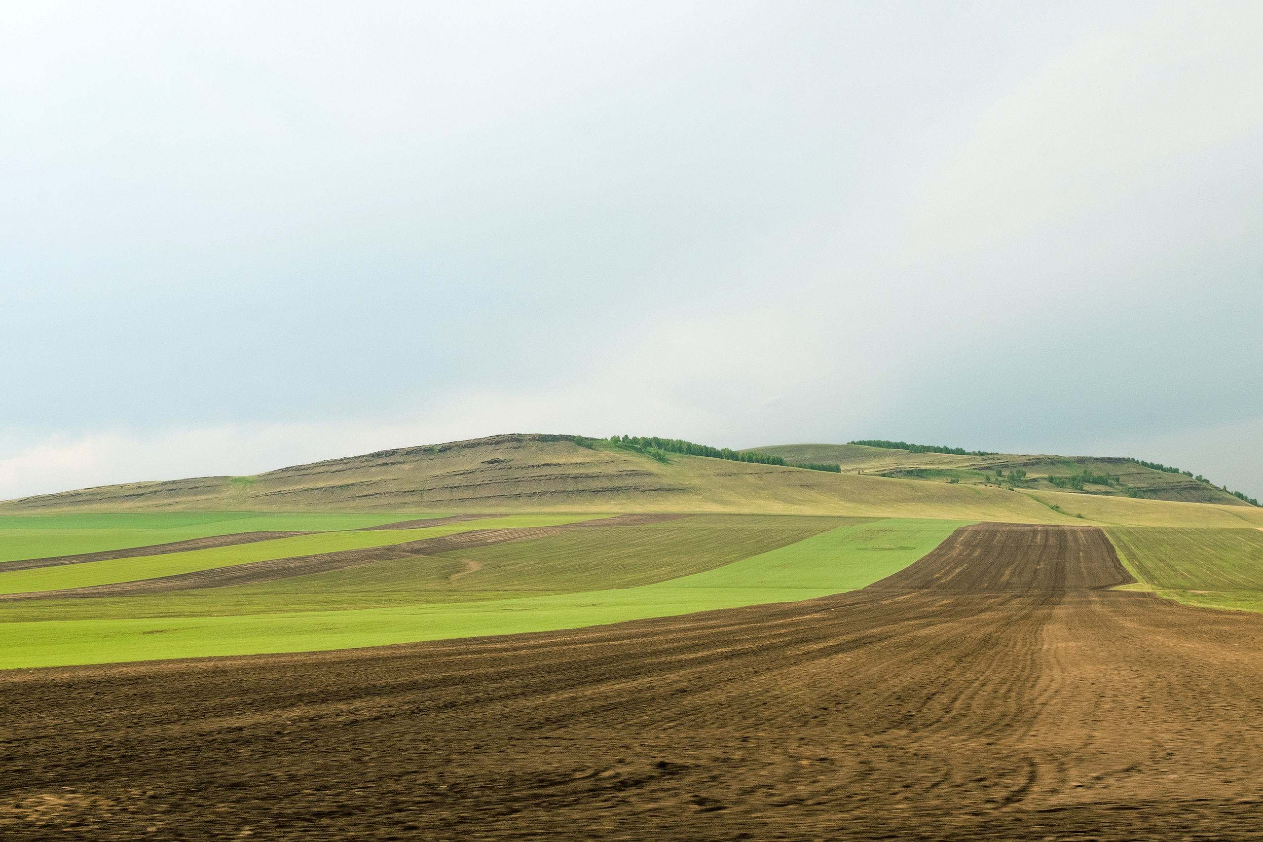 Пересобирая себя. Стас Понятовский