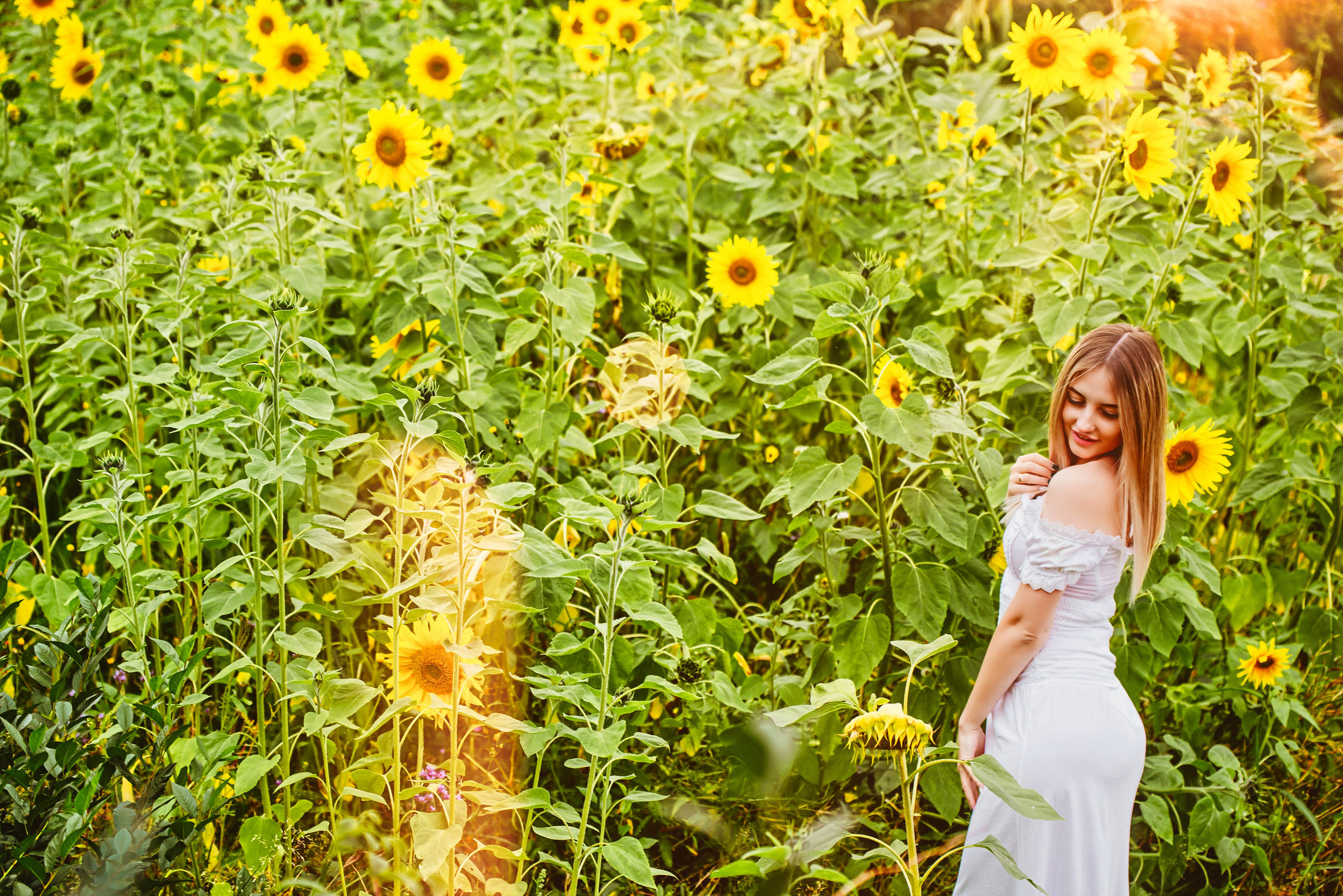Фотосессия в Иркутске фотопроект в Иркутске Девушка в белом платье в подсолнуховом поле