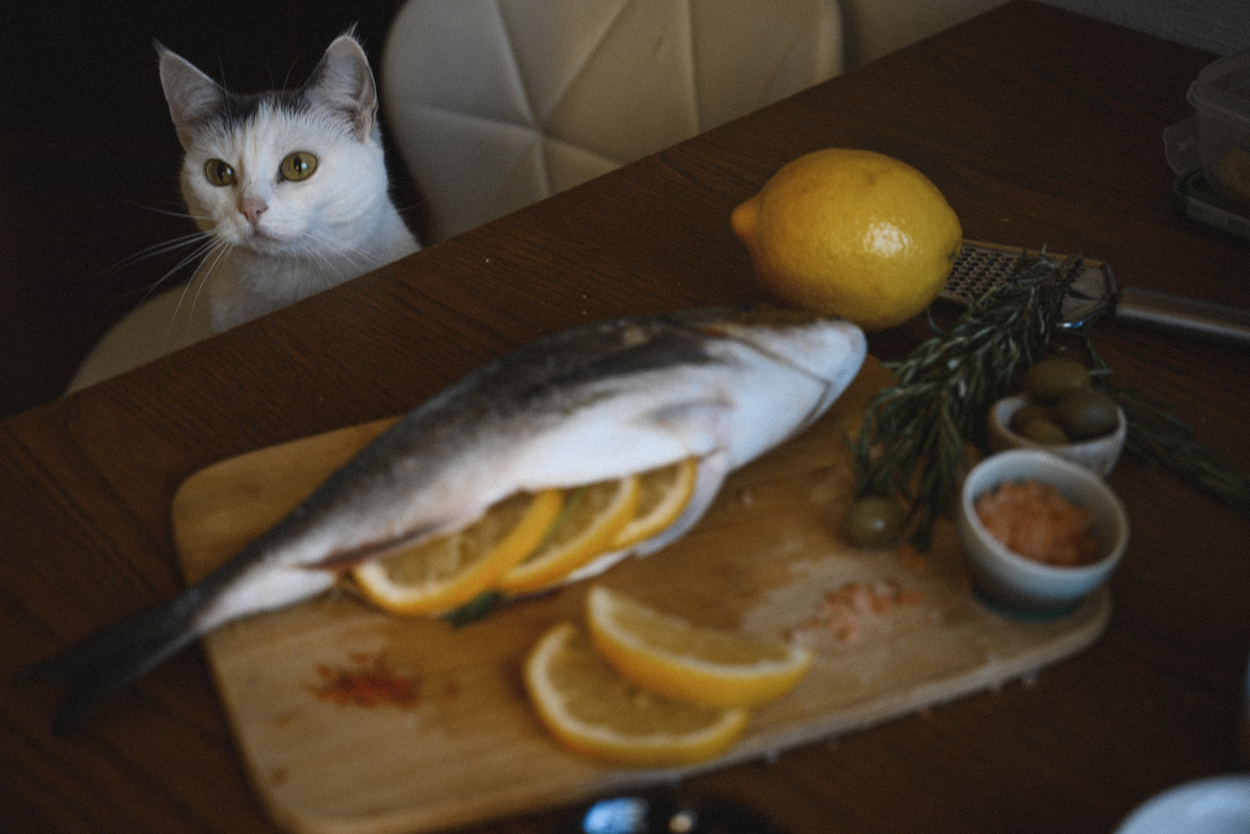 «La Vendimia» и дорадо: нежный дуэт. Фотограф в Санкт-Петербурге Анна Гончар
