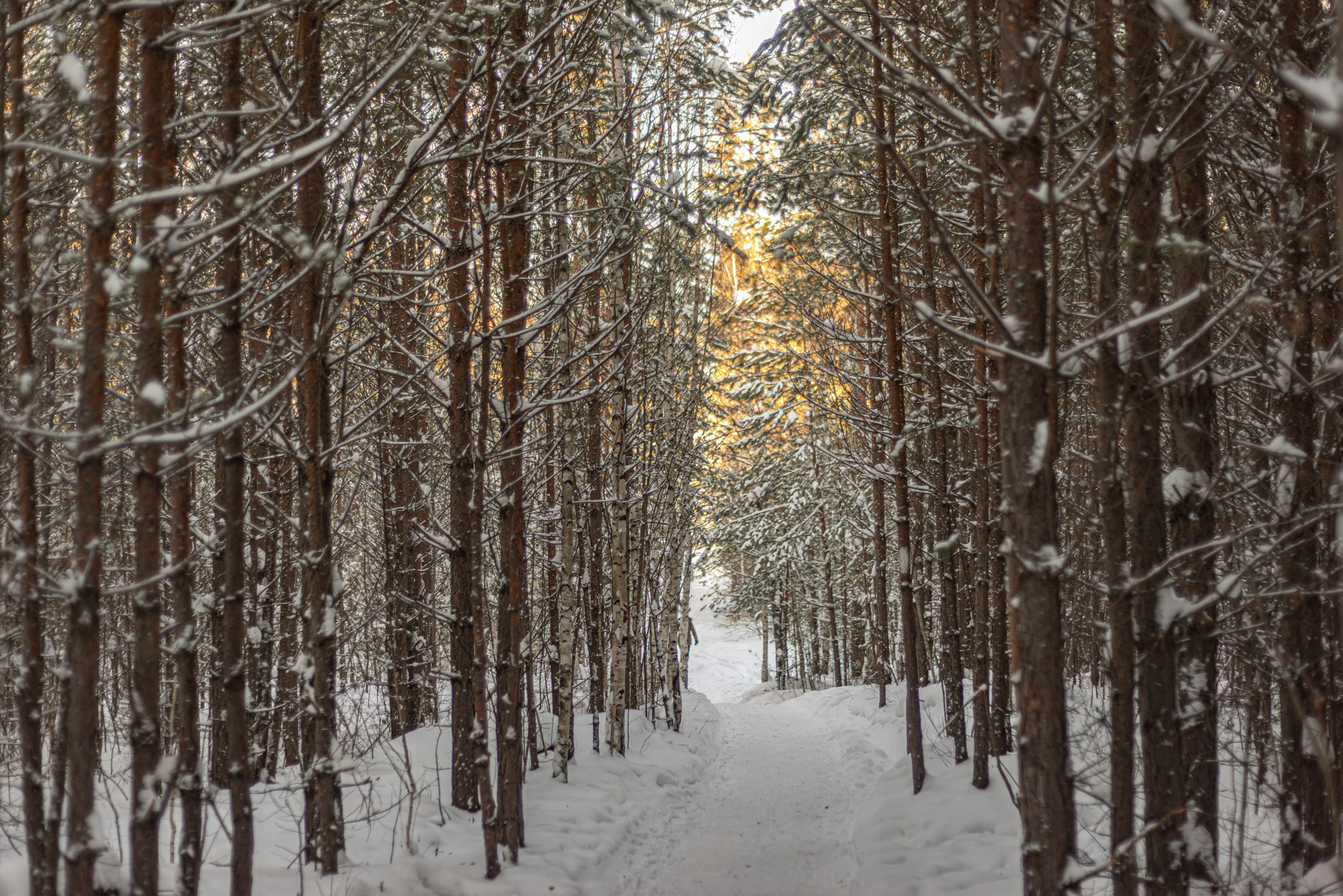 Чертово городище. Исеть. Начинающий фотограф-любитель Евгений Серебряков в Екатеринбурге