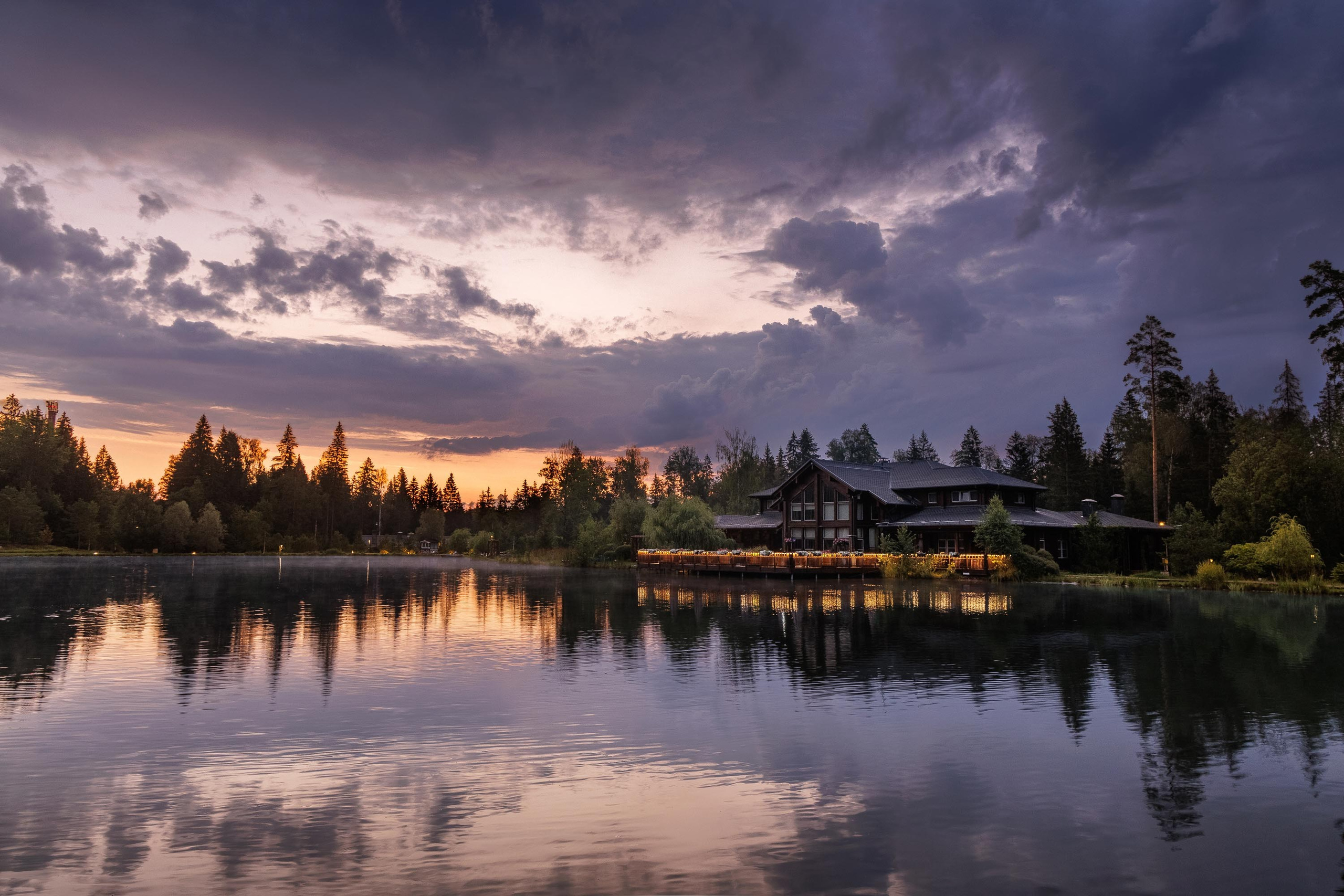 Cosmos Collection Izumrudny Les