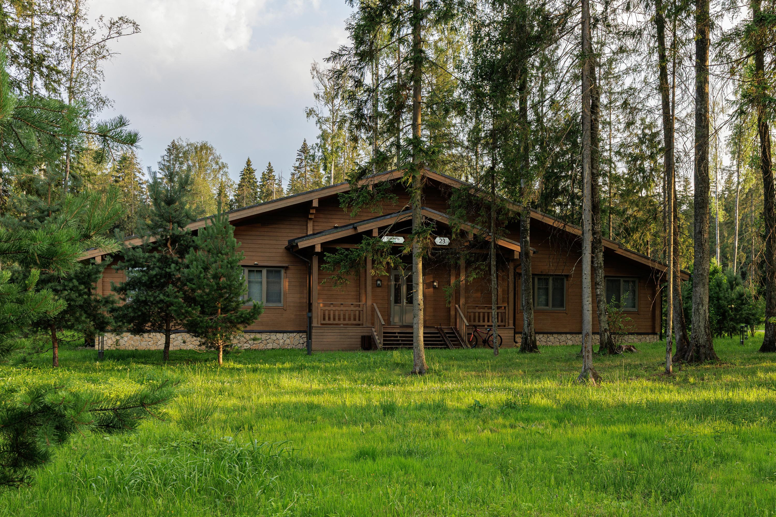 Cosmos Collection Izumrudny Les