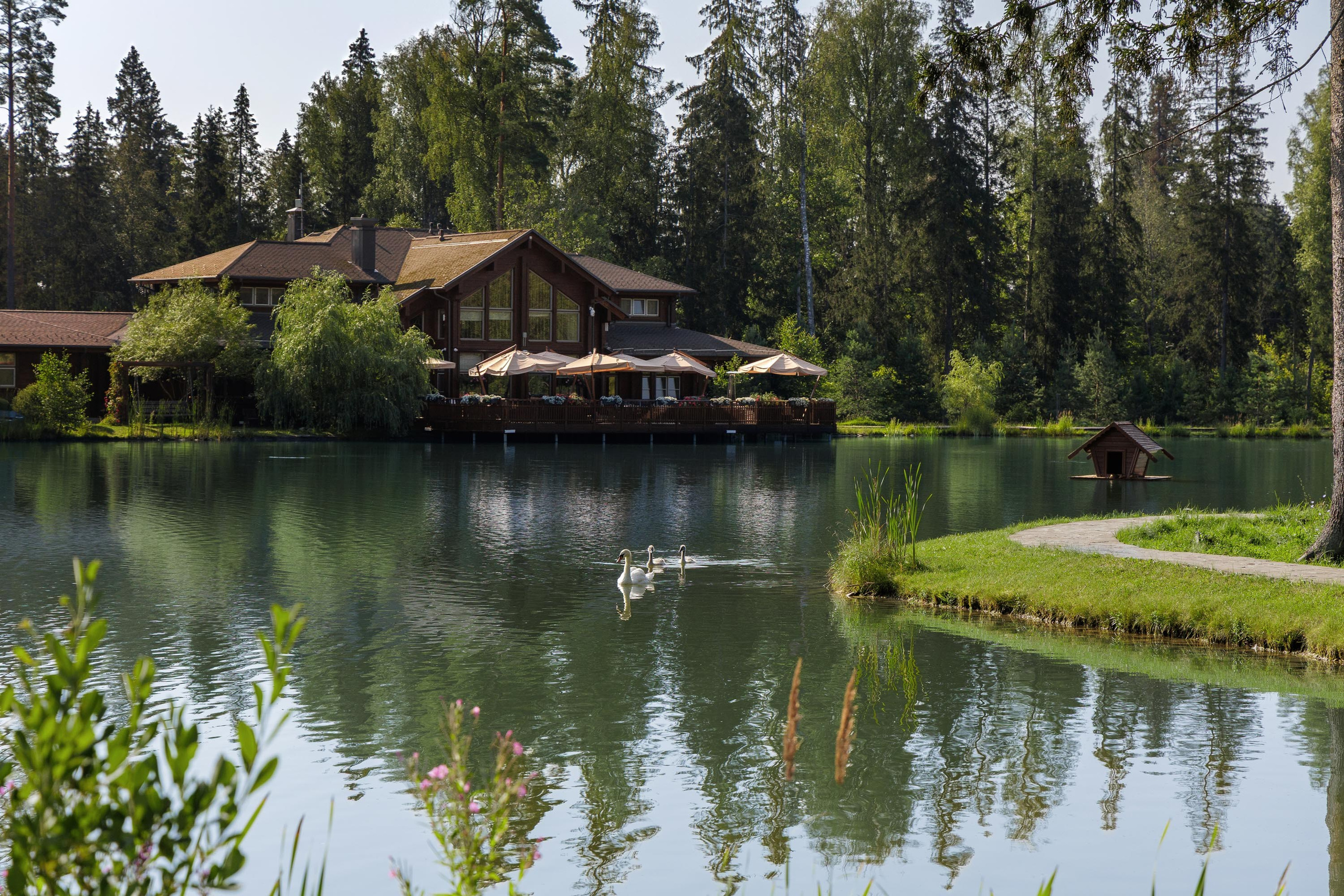 Cosmos Collection Izumrudny Les