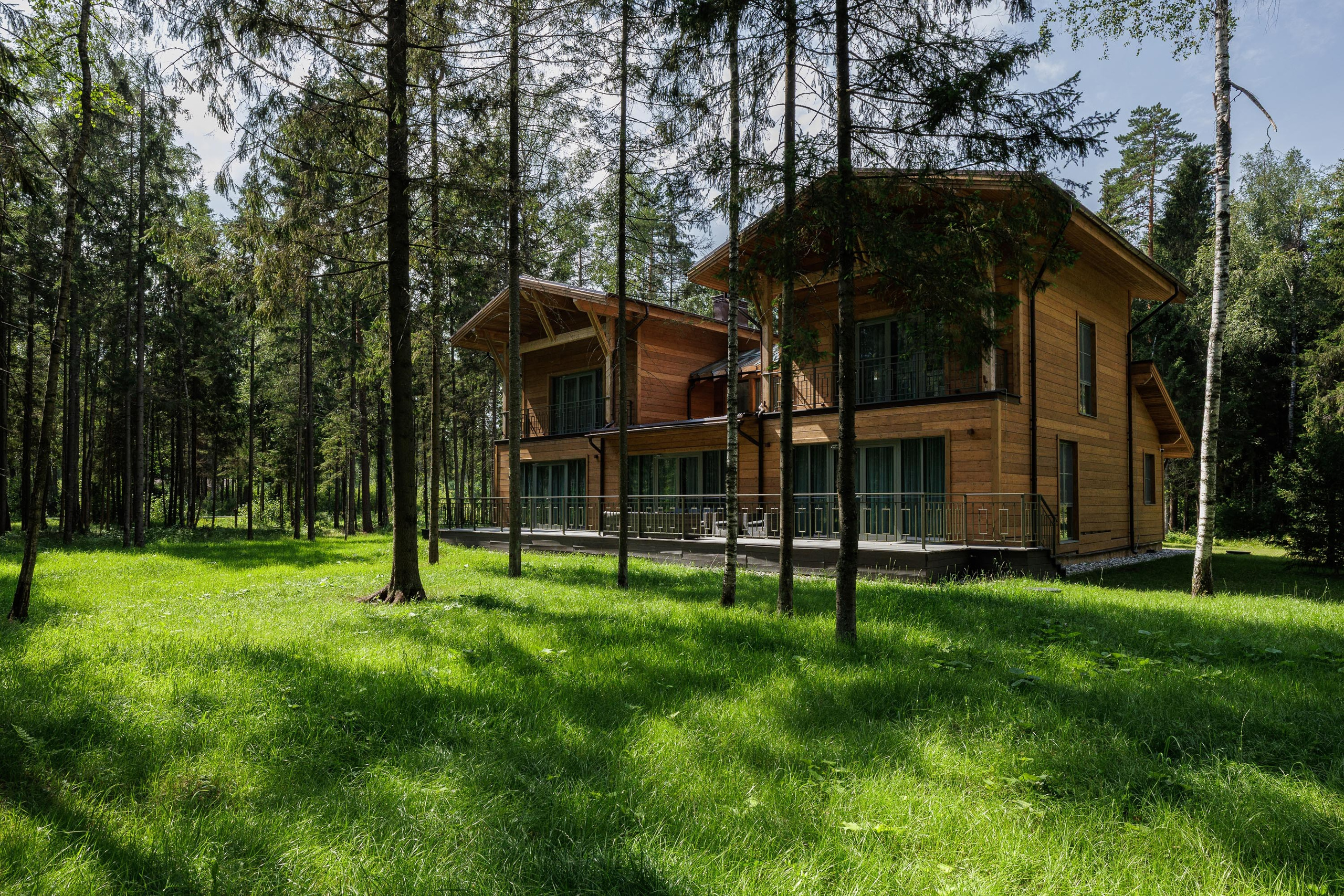 Cosmos Collection Izumrudny Les