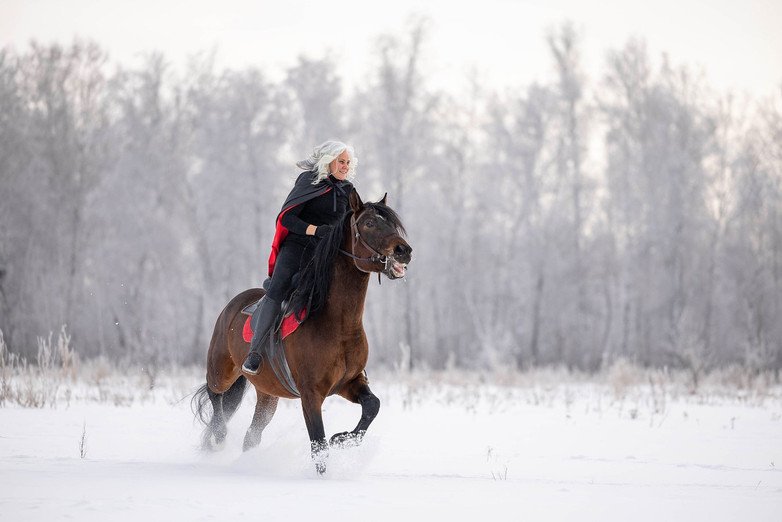 Услуги и цены. Фотограф-анималист в Омске Екатерина Маричева
