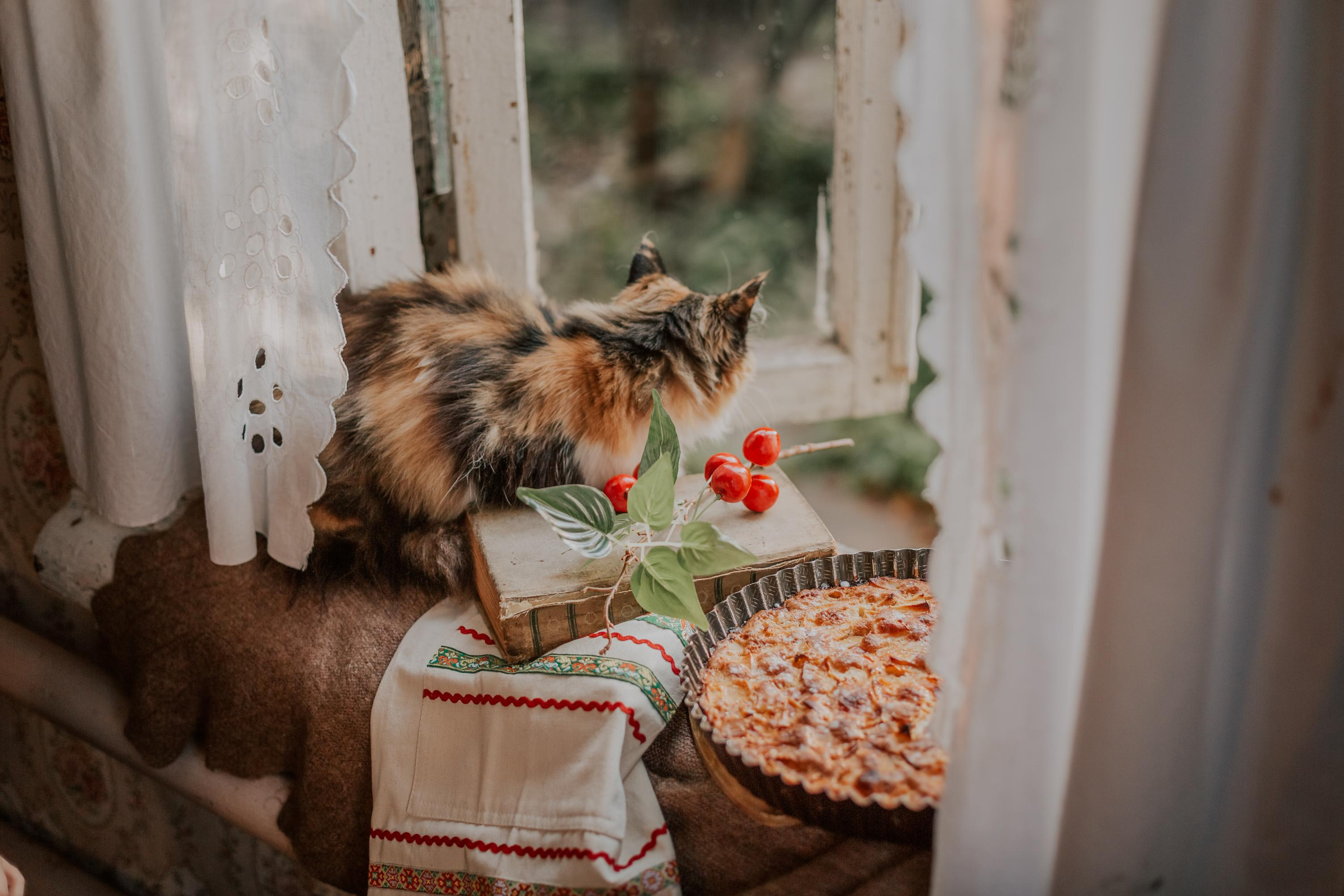 Семейная фотосессия, фотосессия в деревне, деревенский дом, чаепитие. Профессиональный фотограф, фотохудожник, видеограф из Москвы