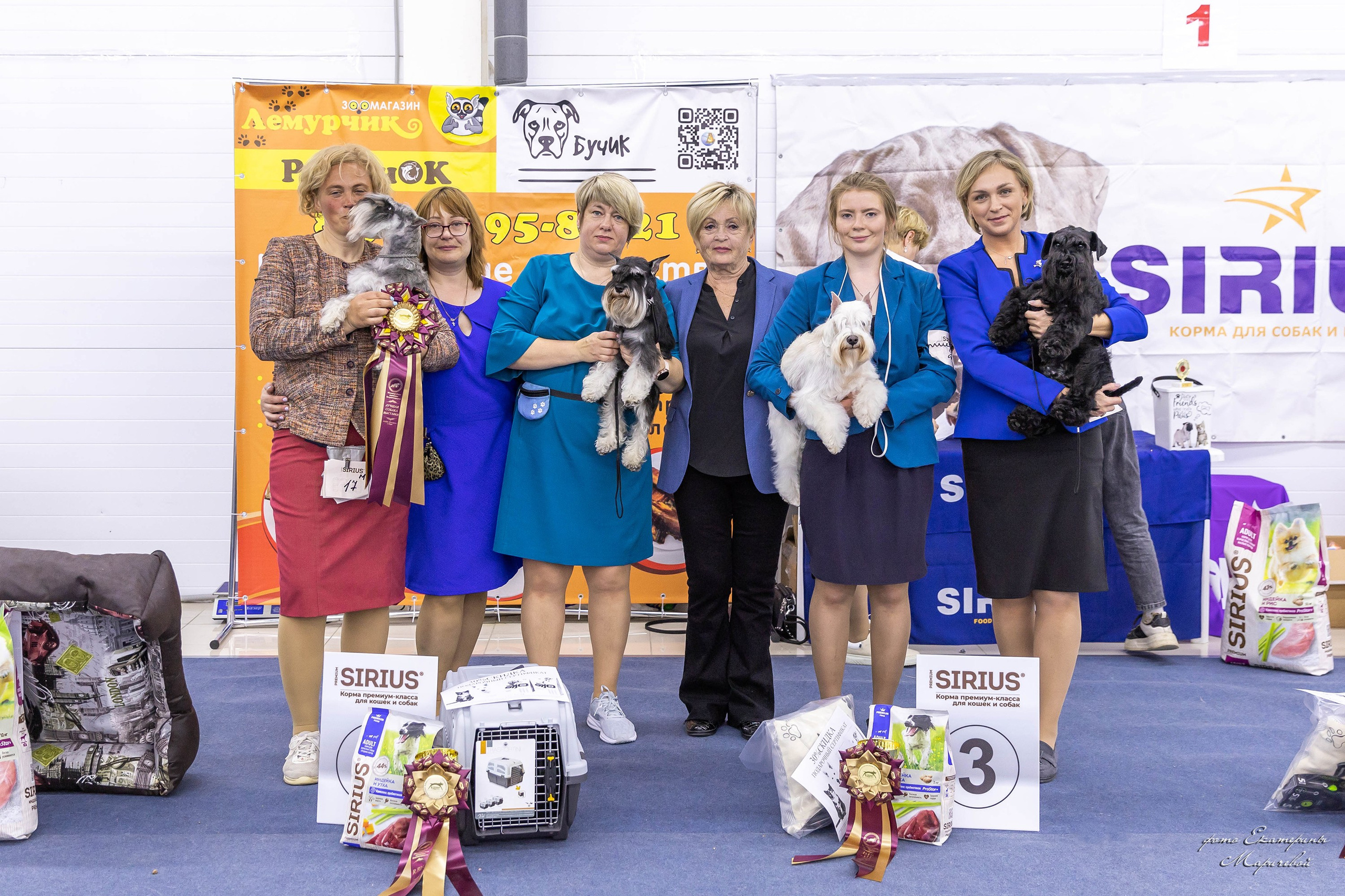 Покадрово с рингов и бестов. Фотограф-анималист в Омске Екатерина Маричева