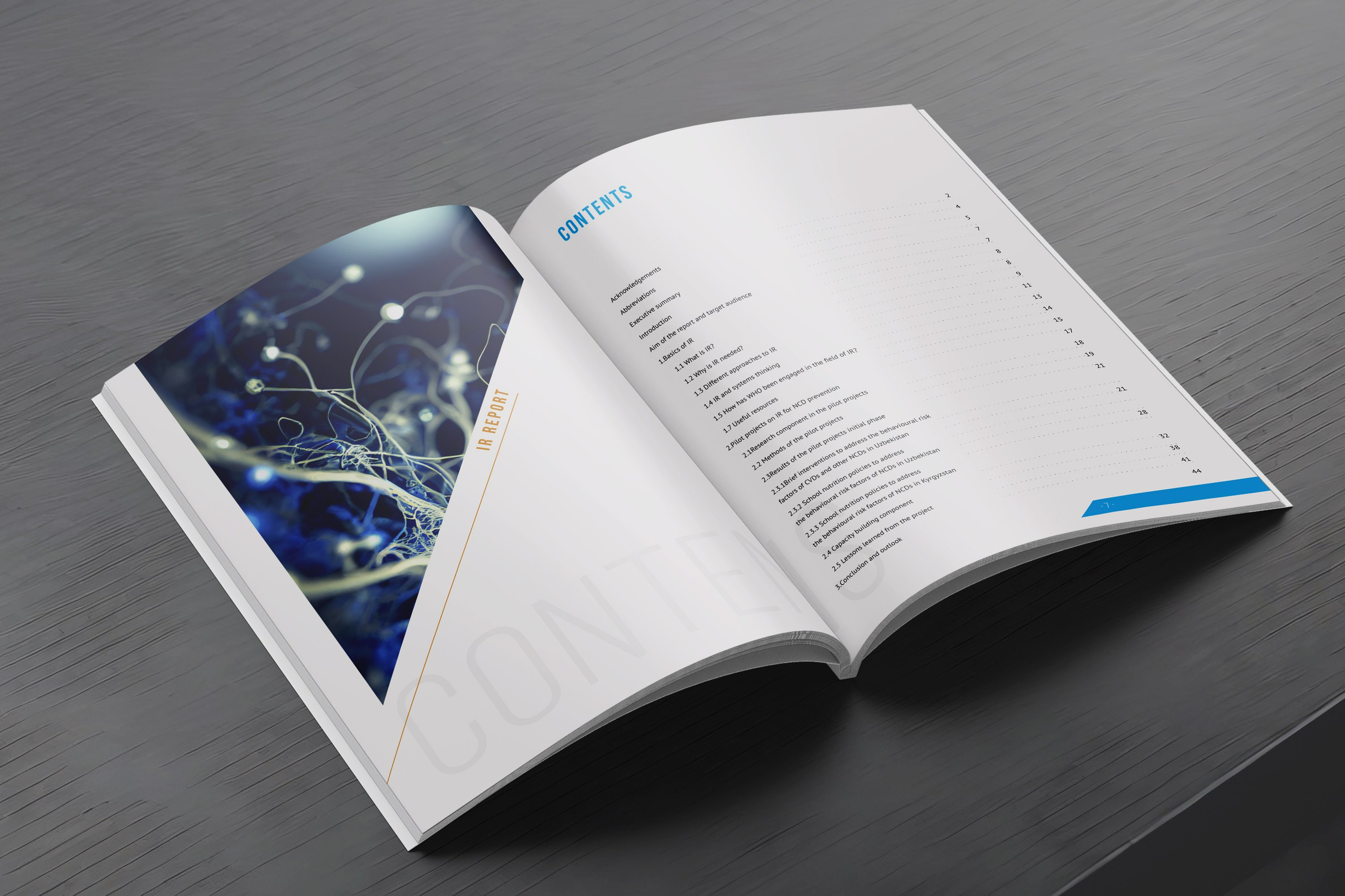 Дизайн книжных обложек. Дизайн и верстка книг