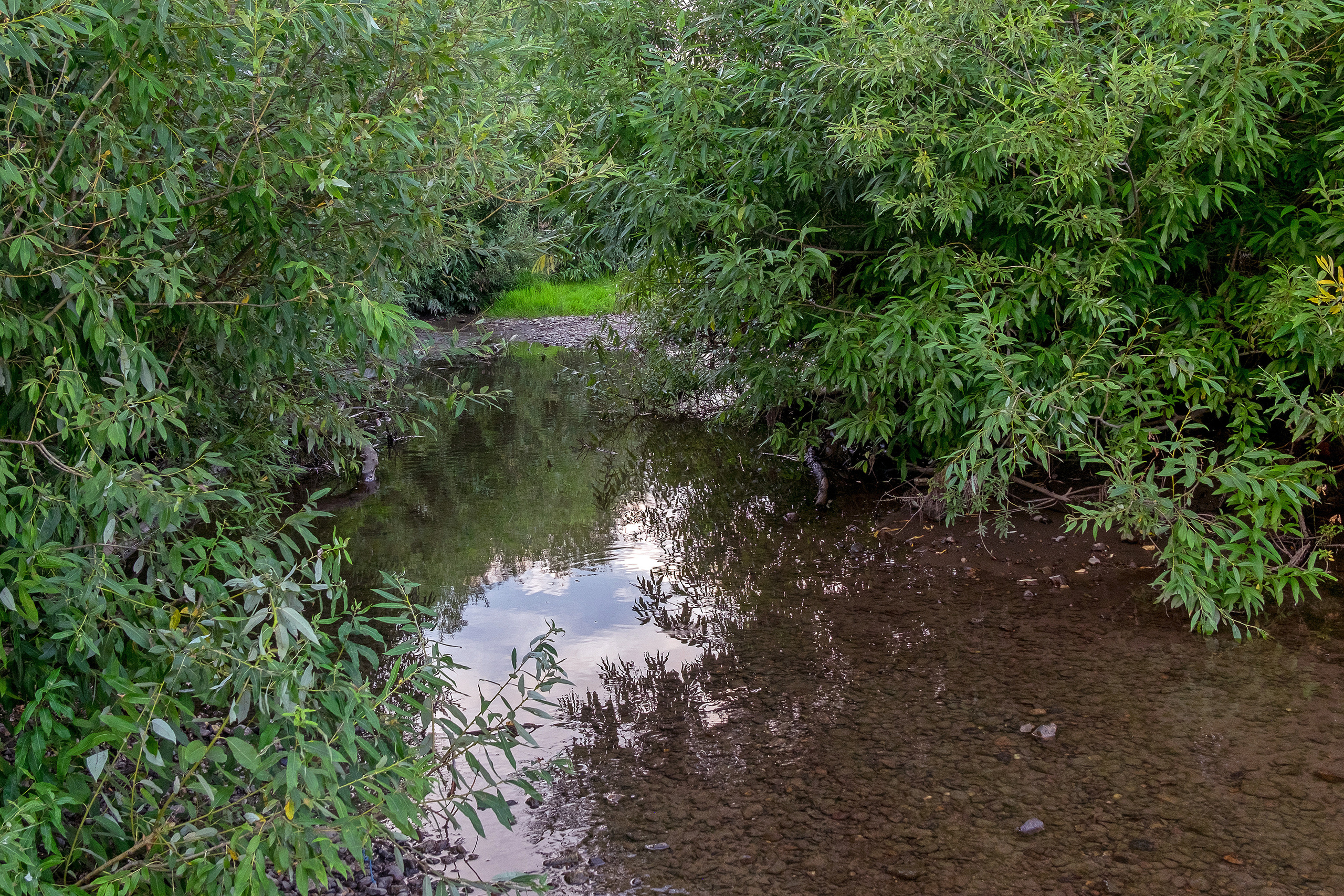 Пересобирая себя. Стас Понятовский