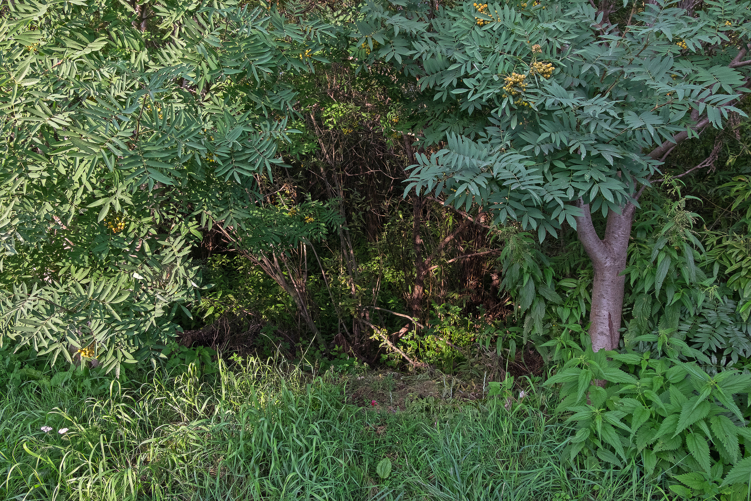 Пересобирая себя. Стас Понятовский